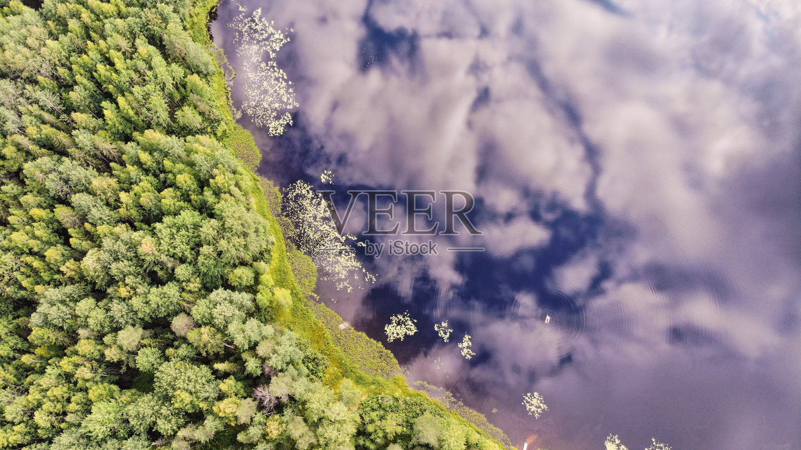 这张照片是用四旋翼飞行器拍摄的俄罗斯科斯特罗马地区针叶林中的一个魔法湖照片摄影图片