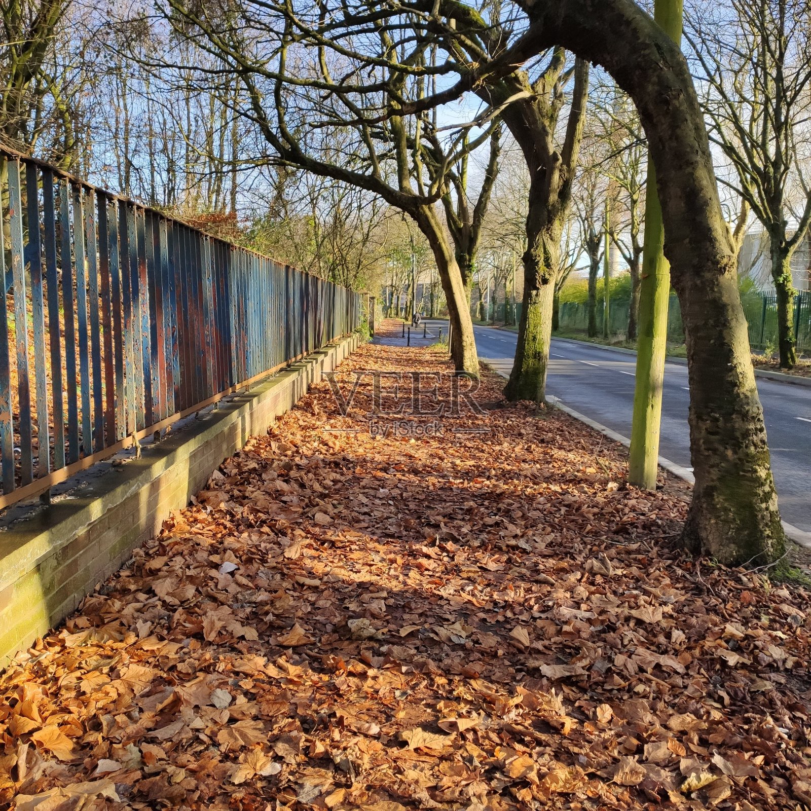 补丁照片摄影图片