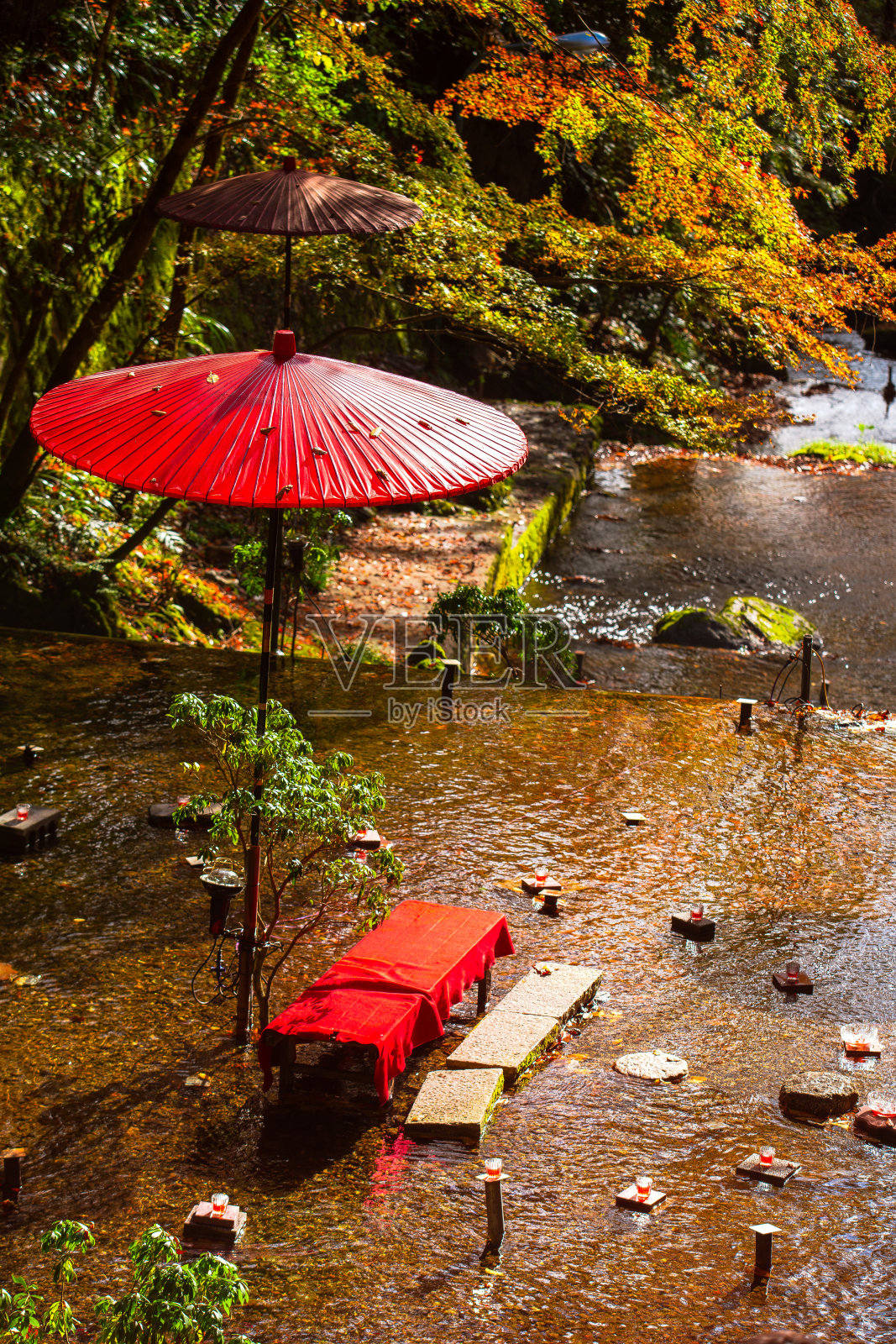 仓廪山的秋叶照片摄影图片