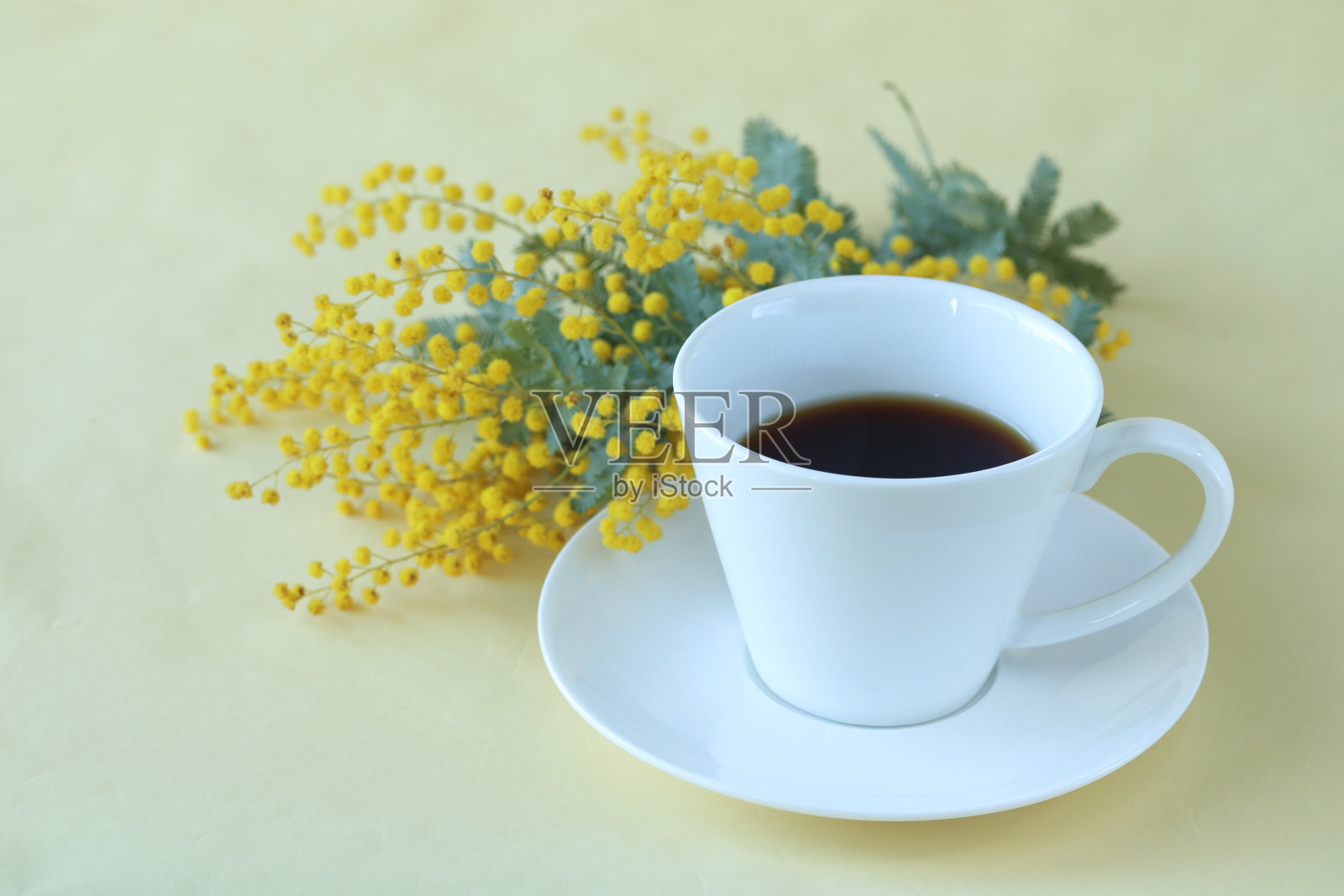 含羞草和咖啡照片摄影图片