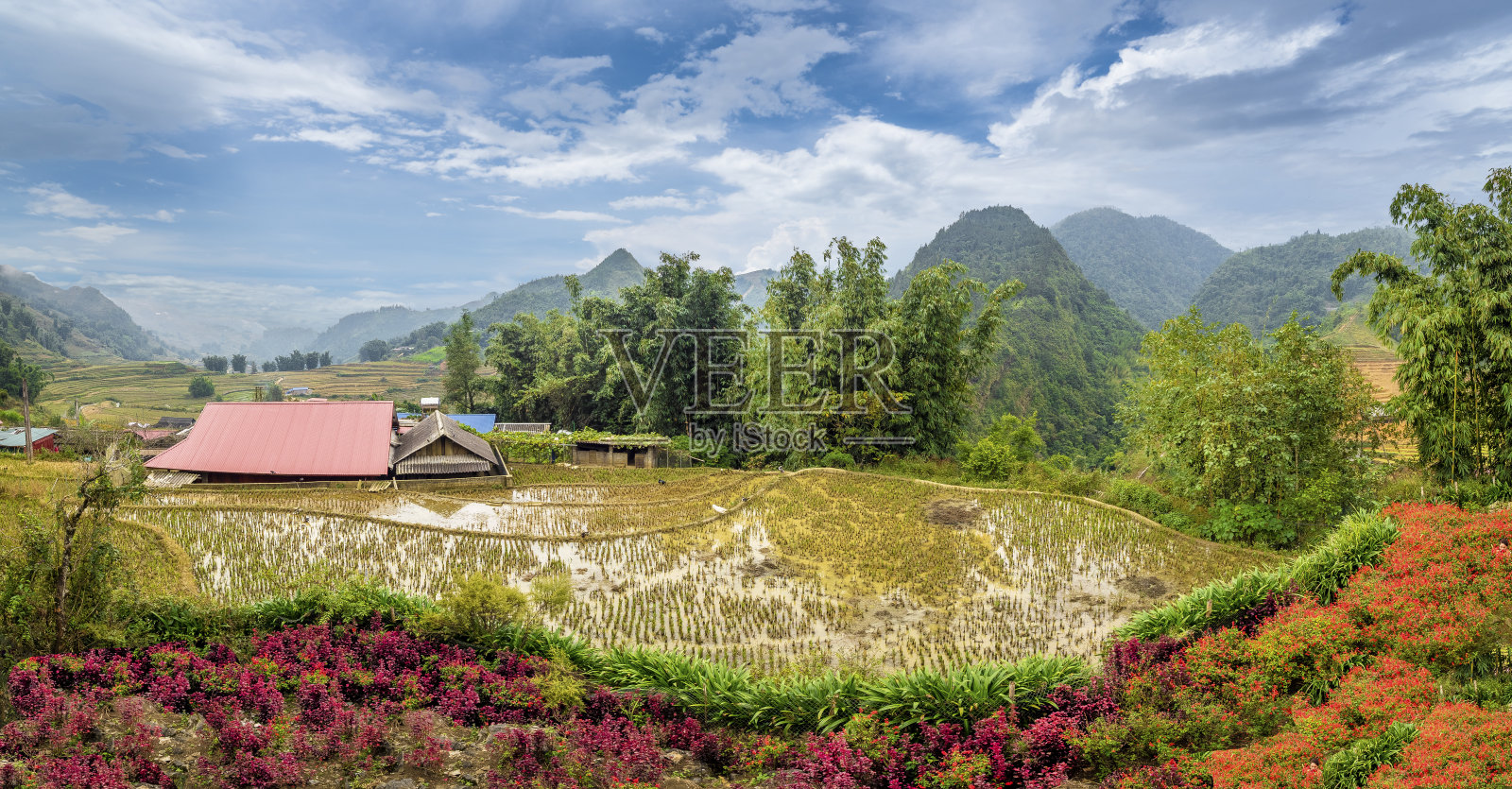 有农田和稻田的景观照片摄影图片