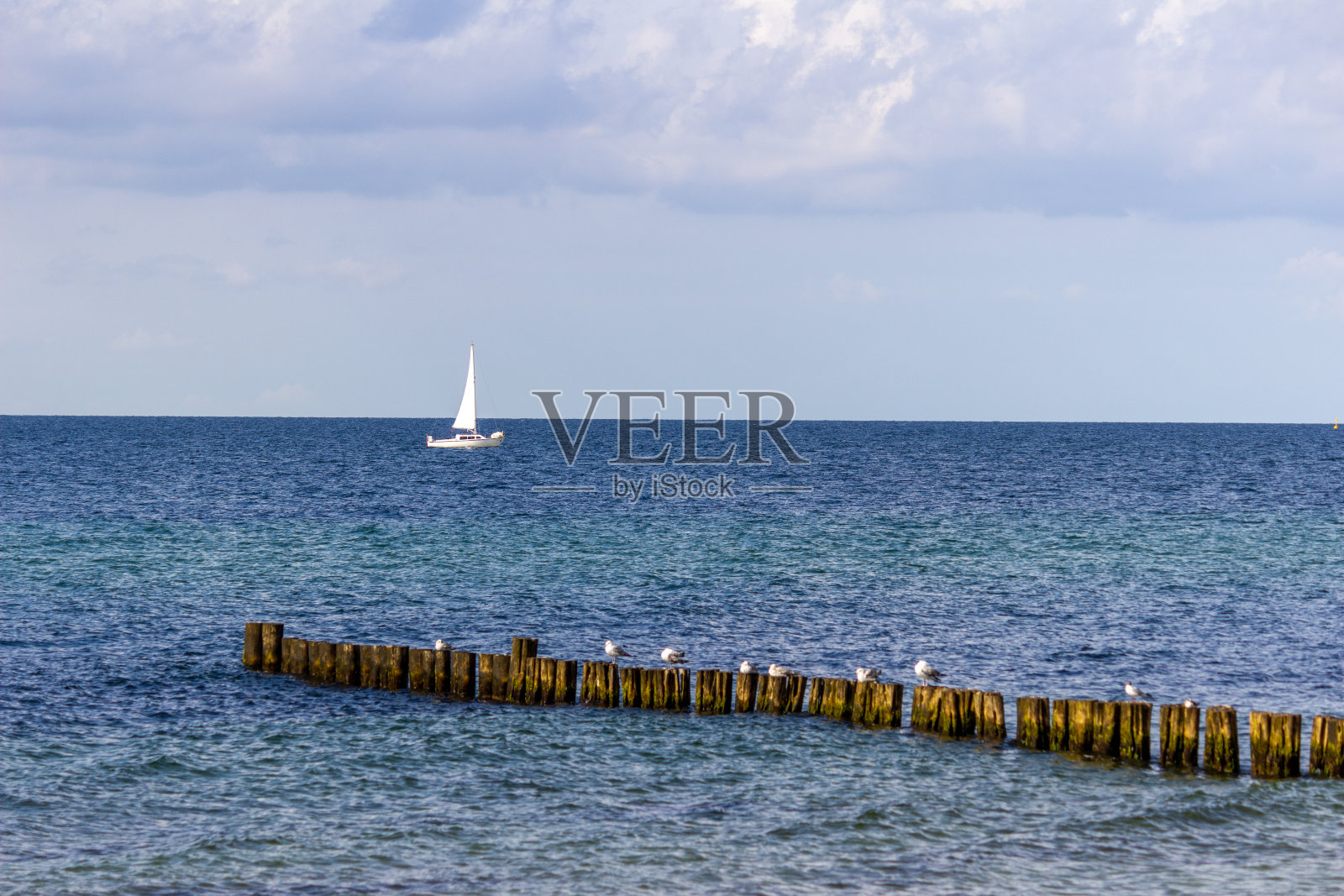 鸟瞰波罗的海，海鸥坐在小船上照片摄影图片