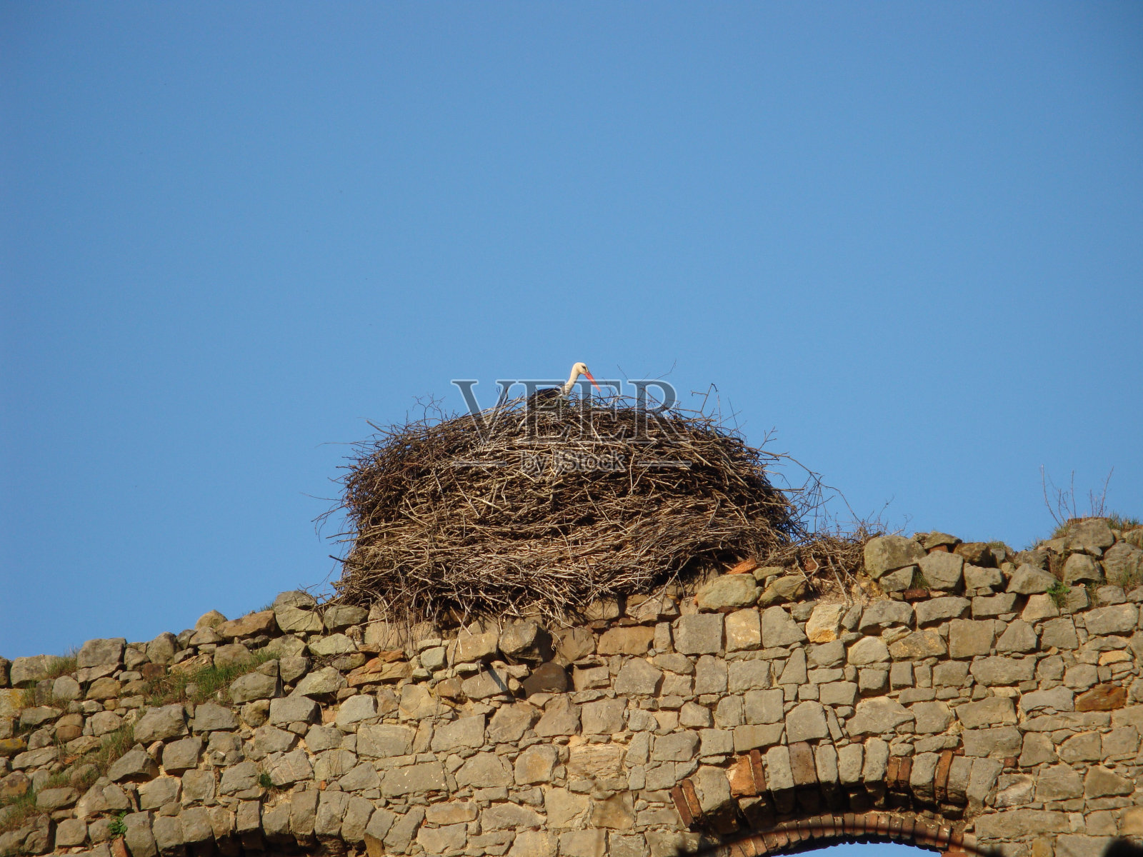 斯托克的巢穴照片摄影图片