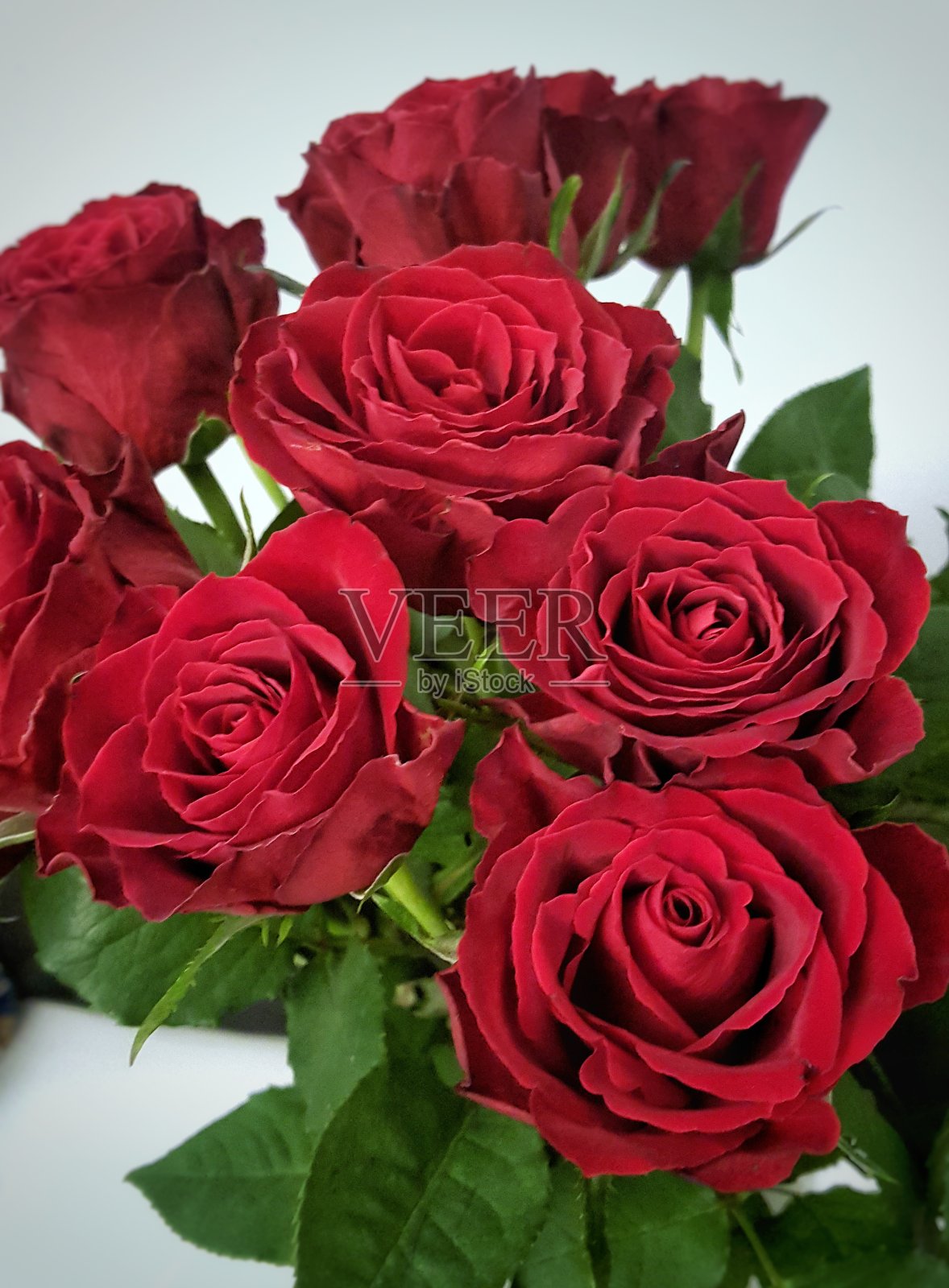 深红色的玫瑰花束照片摄影图片