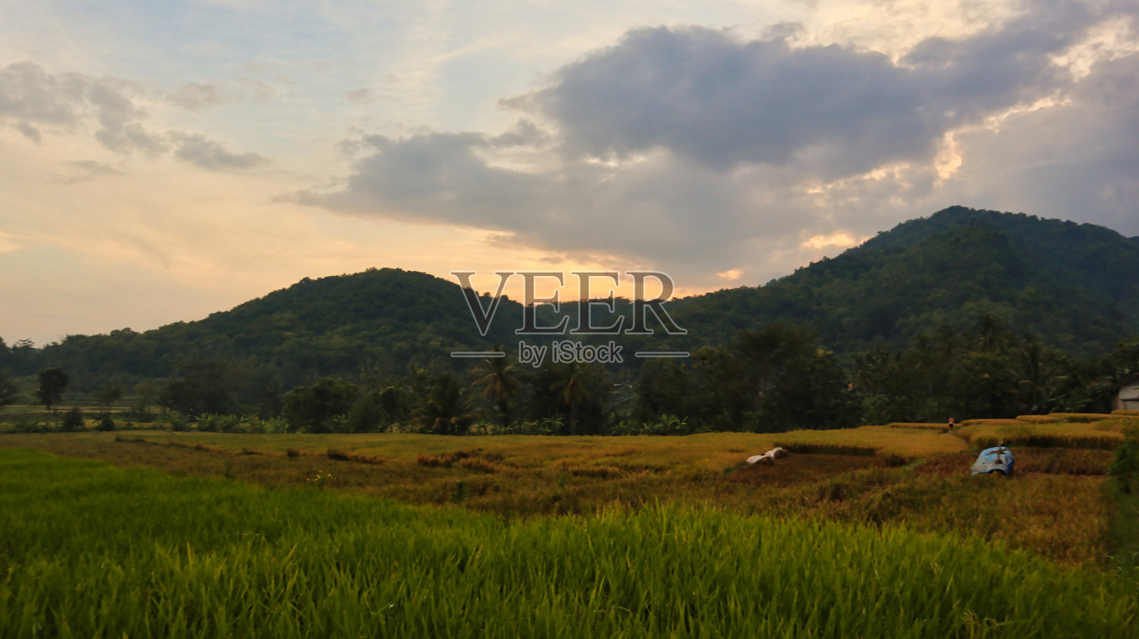 下午的高地有一点云照片摄影图片