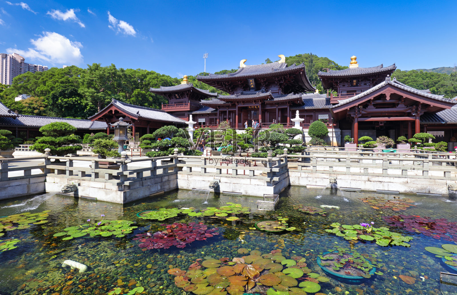 中国香港志莲净苑唐代风格寺庙照片摄影图片