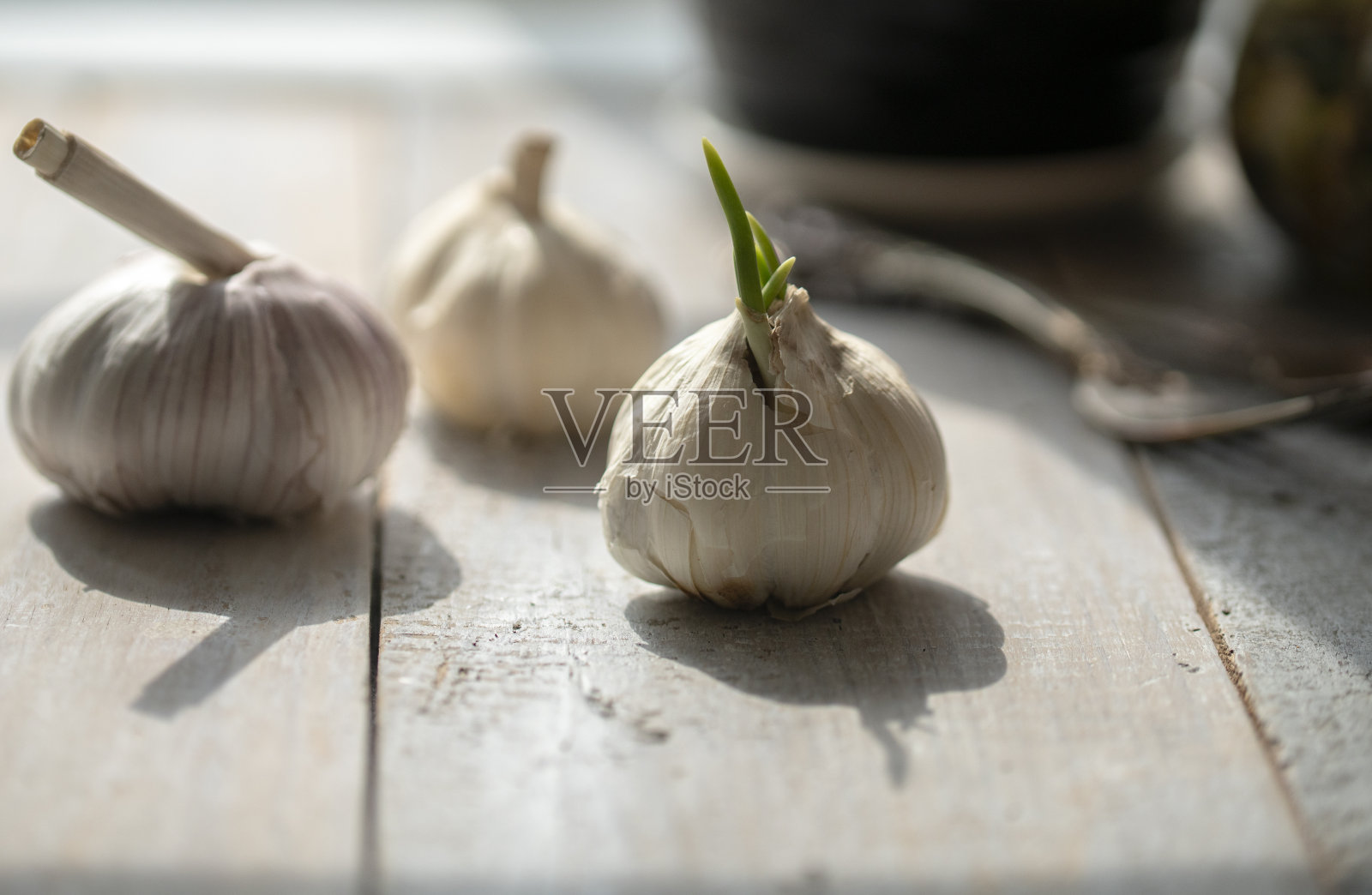 阳光下的新鲜生大蒜照片摄影图片