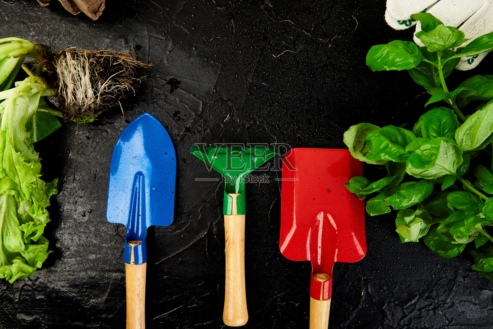 园艺工具与罗勒花盆扁平风背景照片摄影图片