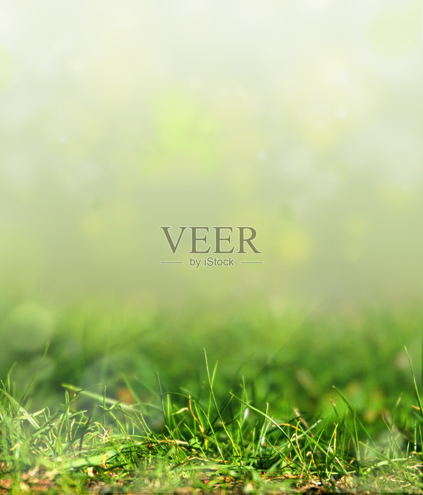 艺术抽象的春天背景照片摄影图片