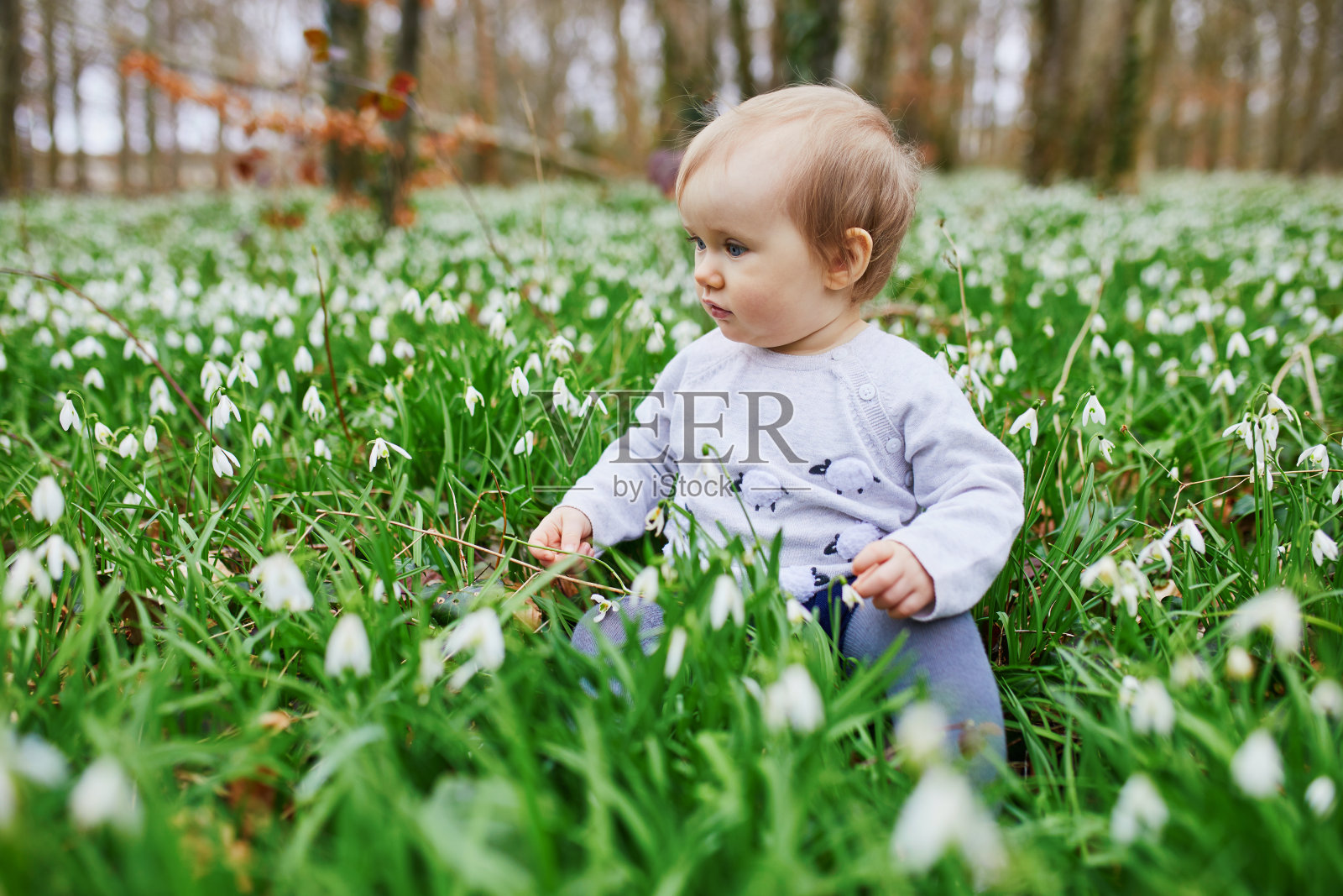 可爱的一岁小女孩坐在公园或森林里有许多雪花莲花的草地上照片摄影图片