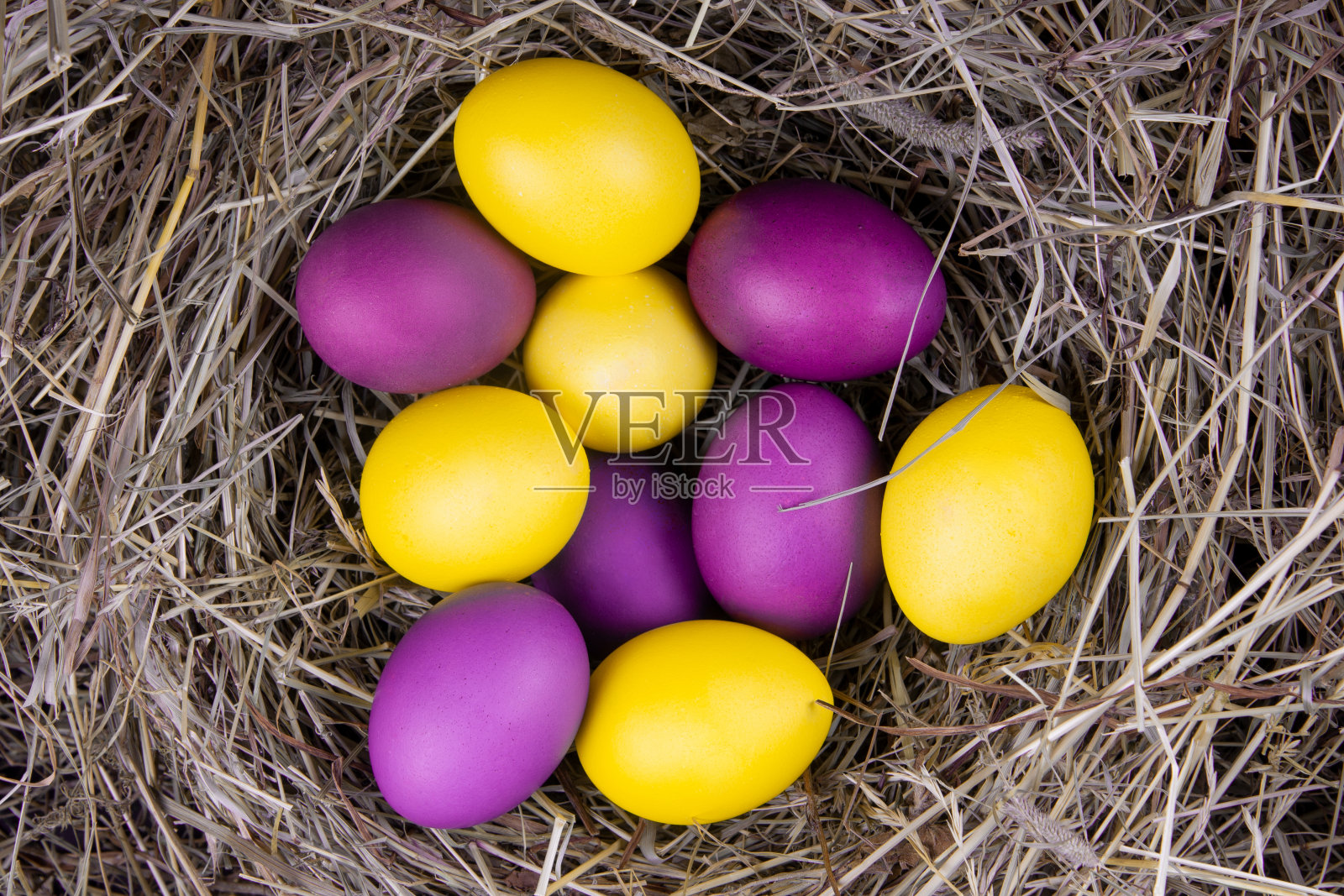 黄色和紫色的蛋在一个巢顶视图。复活节的概念。照片摄影图片