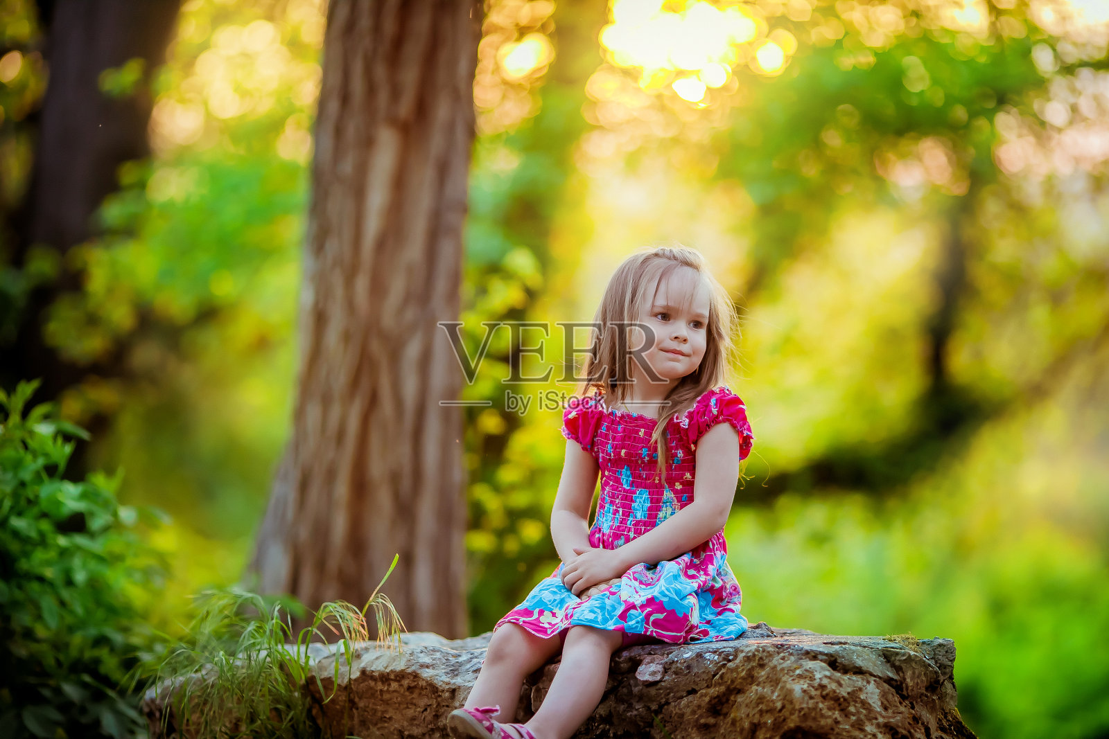 美丽的小女孩5-6岁坐在树林里，梦想着幸福照片摄影图片