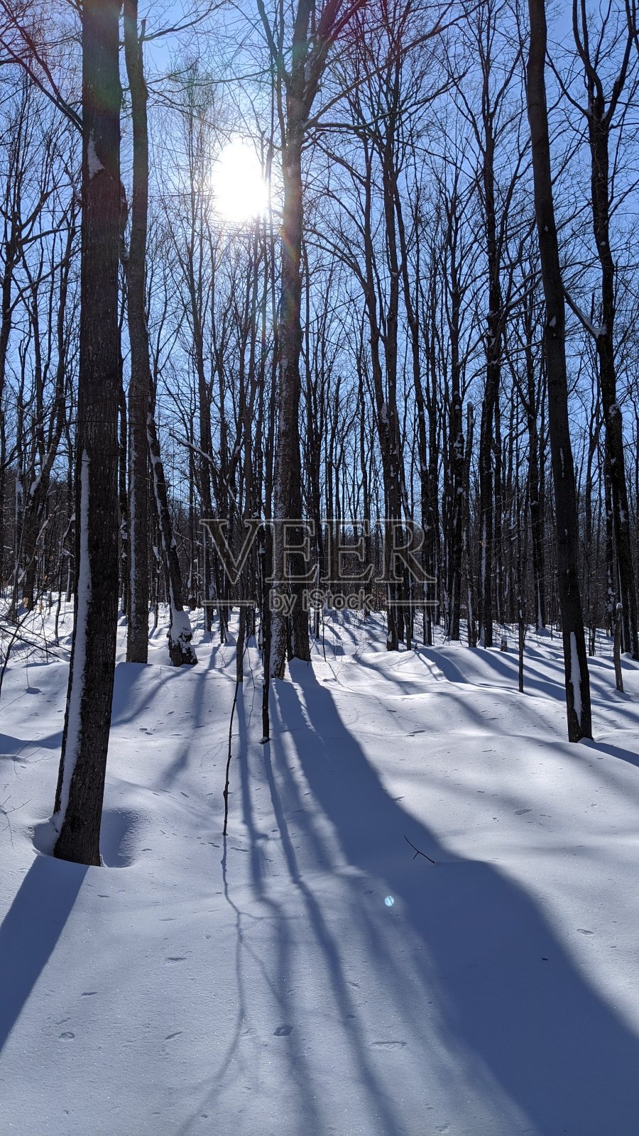 德高望重的小道(photo13)照片摄影图片