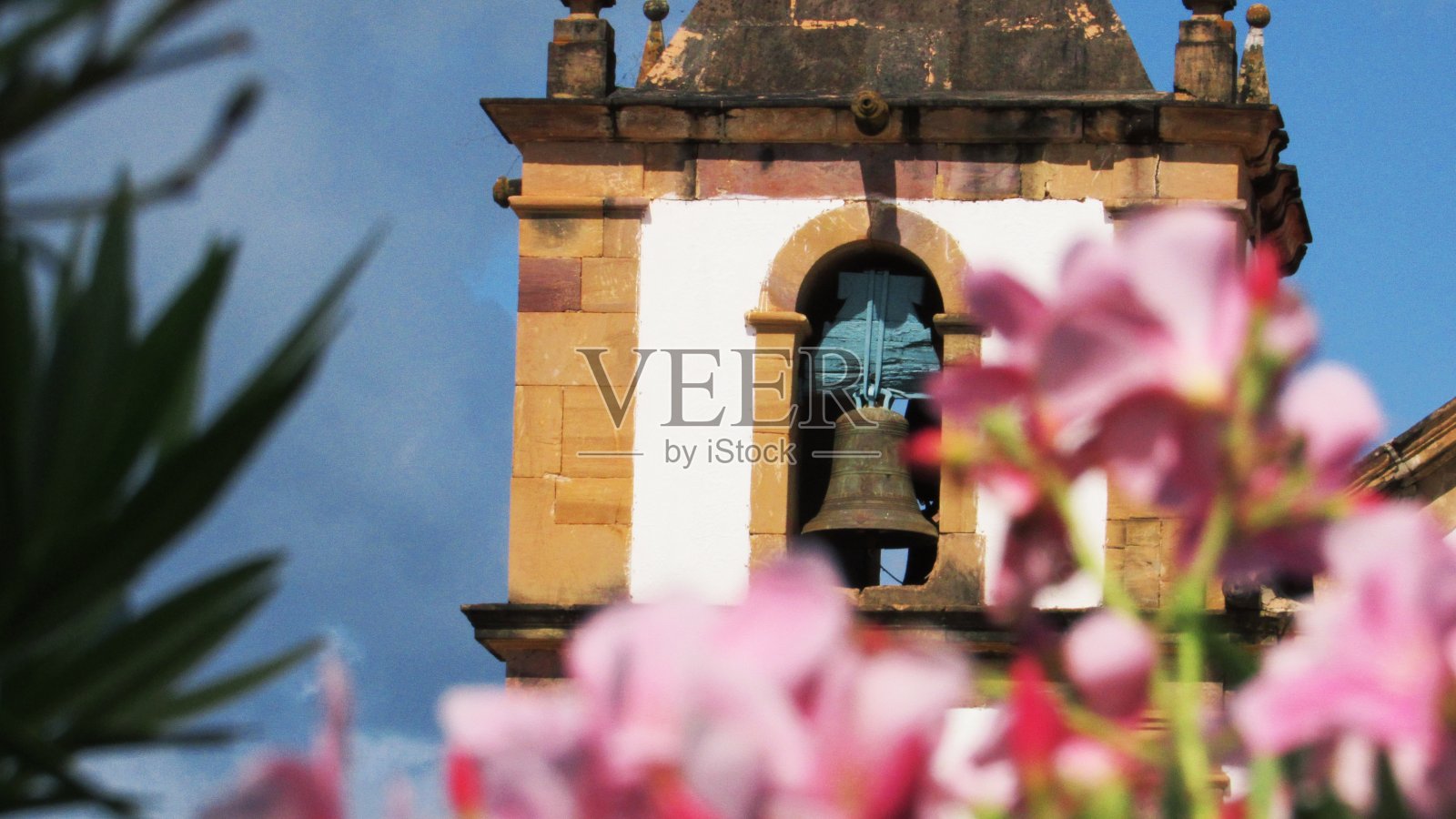 信仰的花照片摄影图片