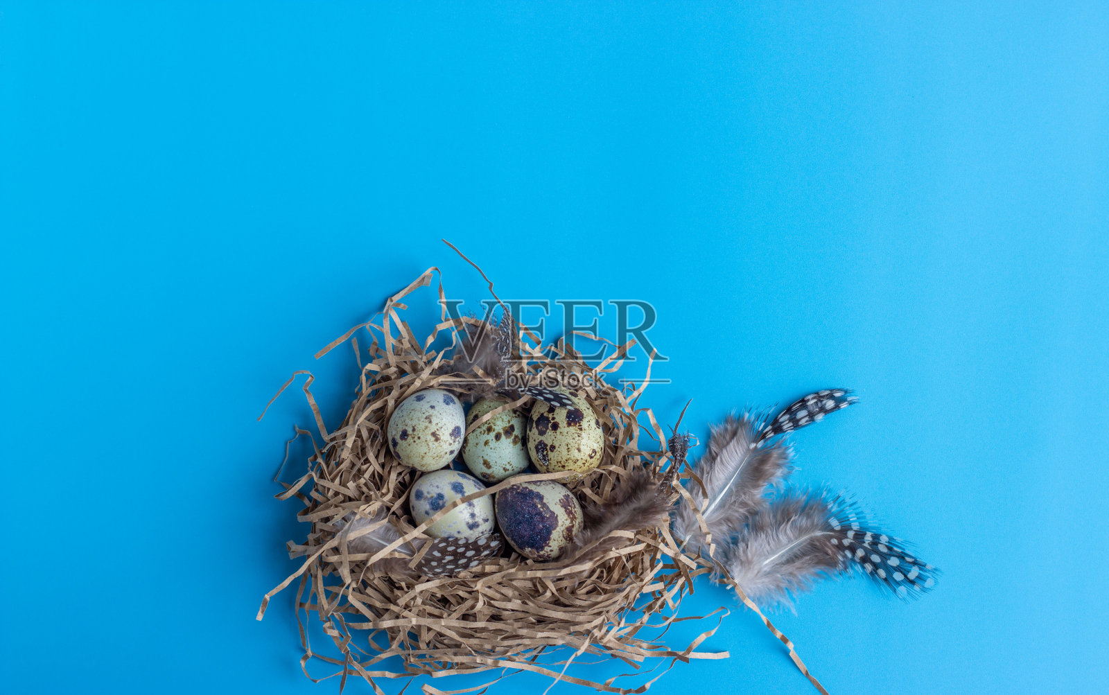 复活节构图与鹌鹑蛋巢在一个蓝色的背景。贺卡。平的。照片摄影图片