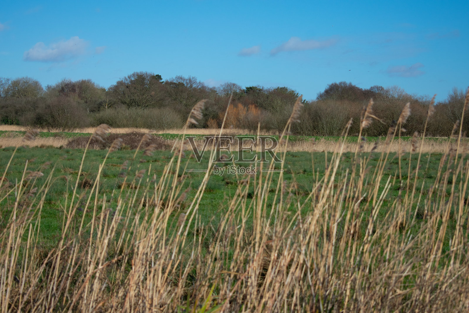 Lowestoft的现场视图照片摄影图片