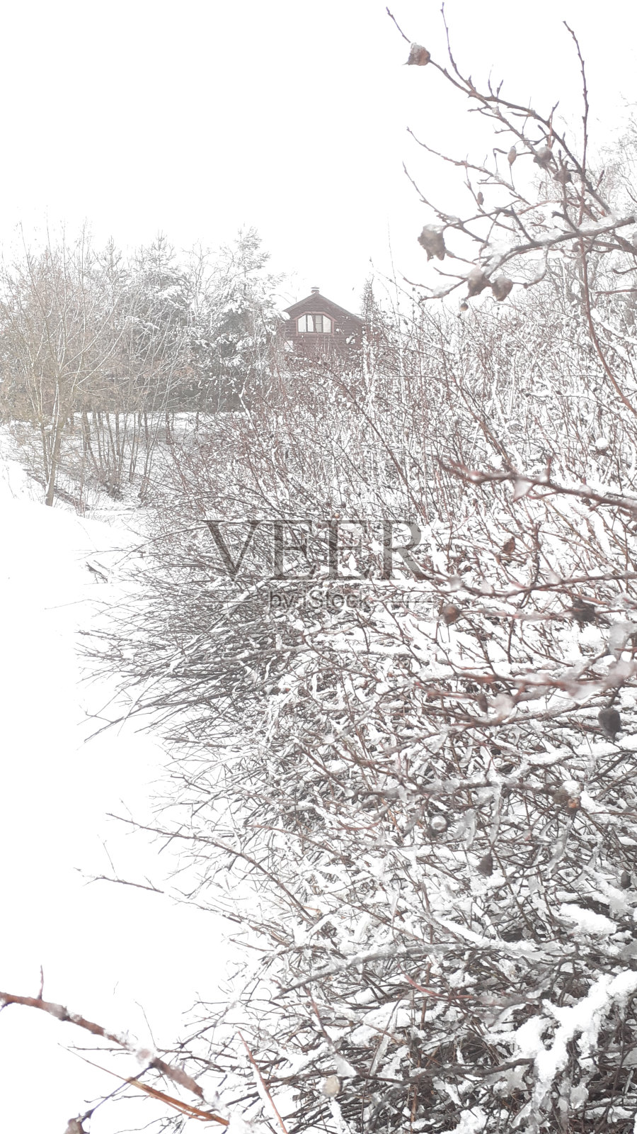 俄罗斯冬天房子照片摄影图片