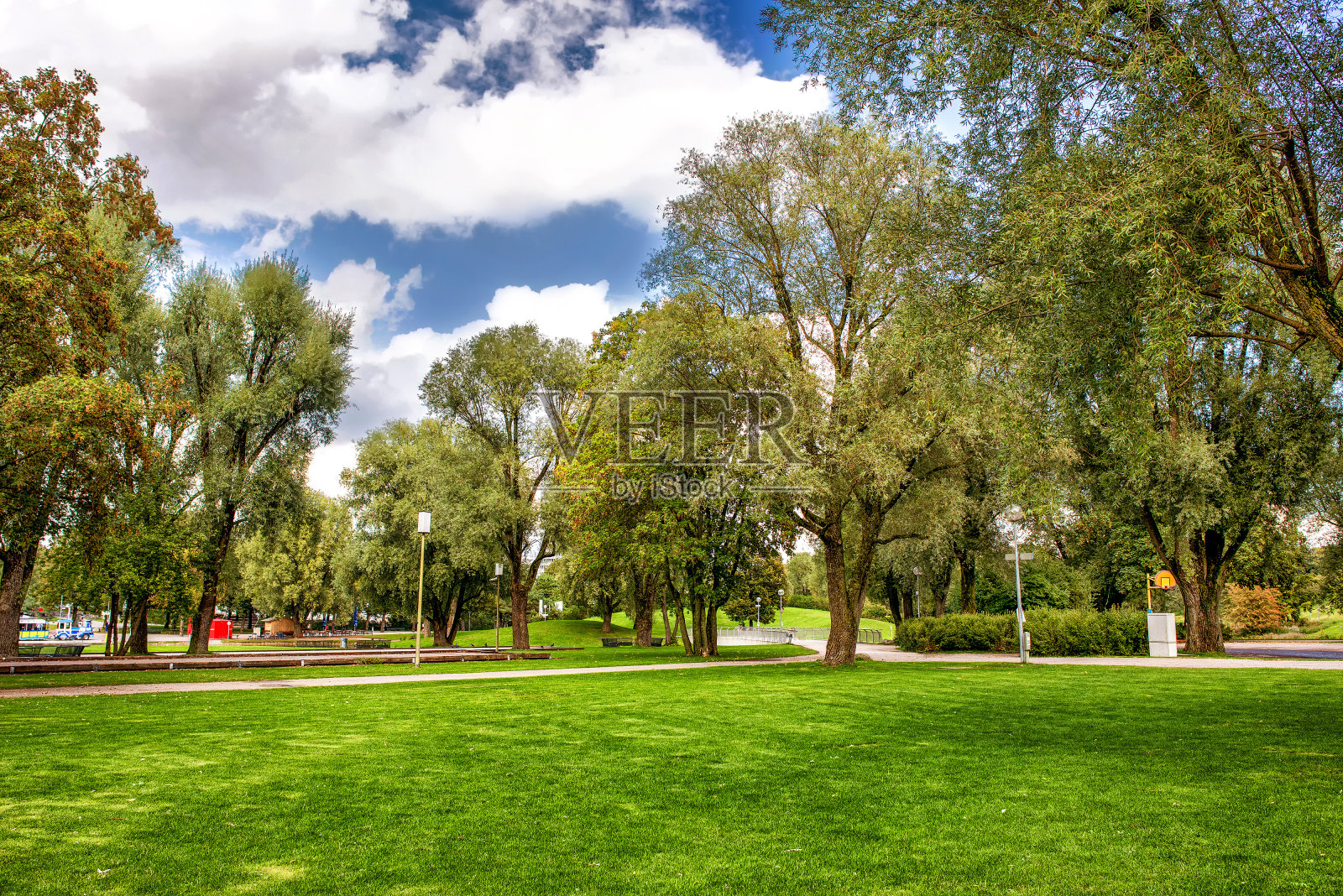 夏日公园里的草坪、树木和小径。照片摄影图片