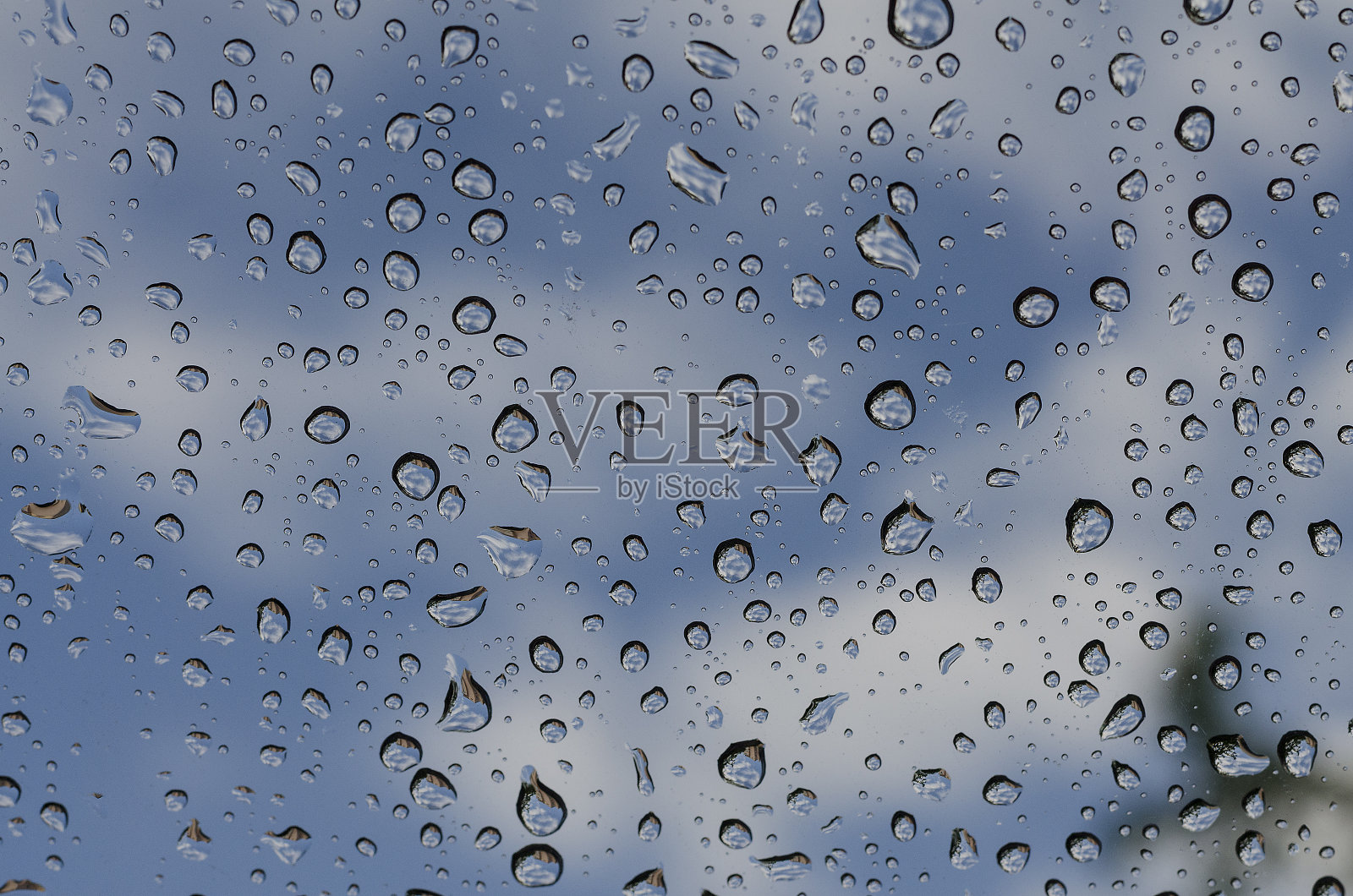 春天的雨点落在窗玻璃上照片摄影图片