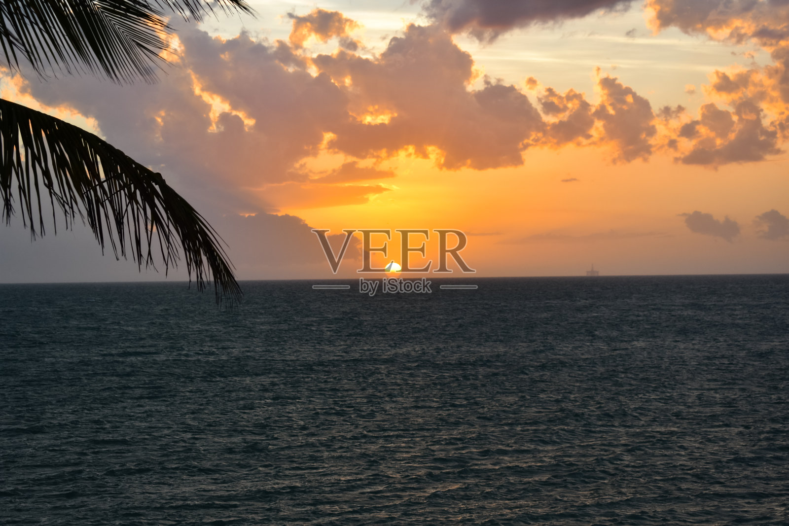 日落与棕榈树在墨西哥湾照片摄影图片