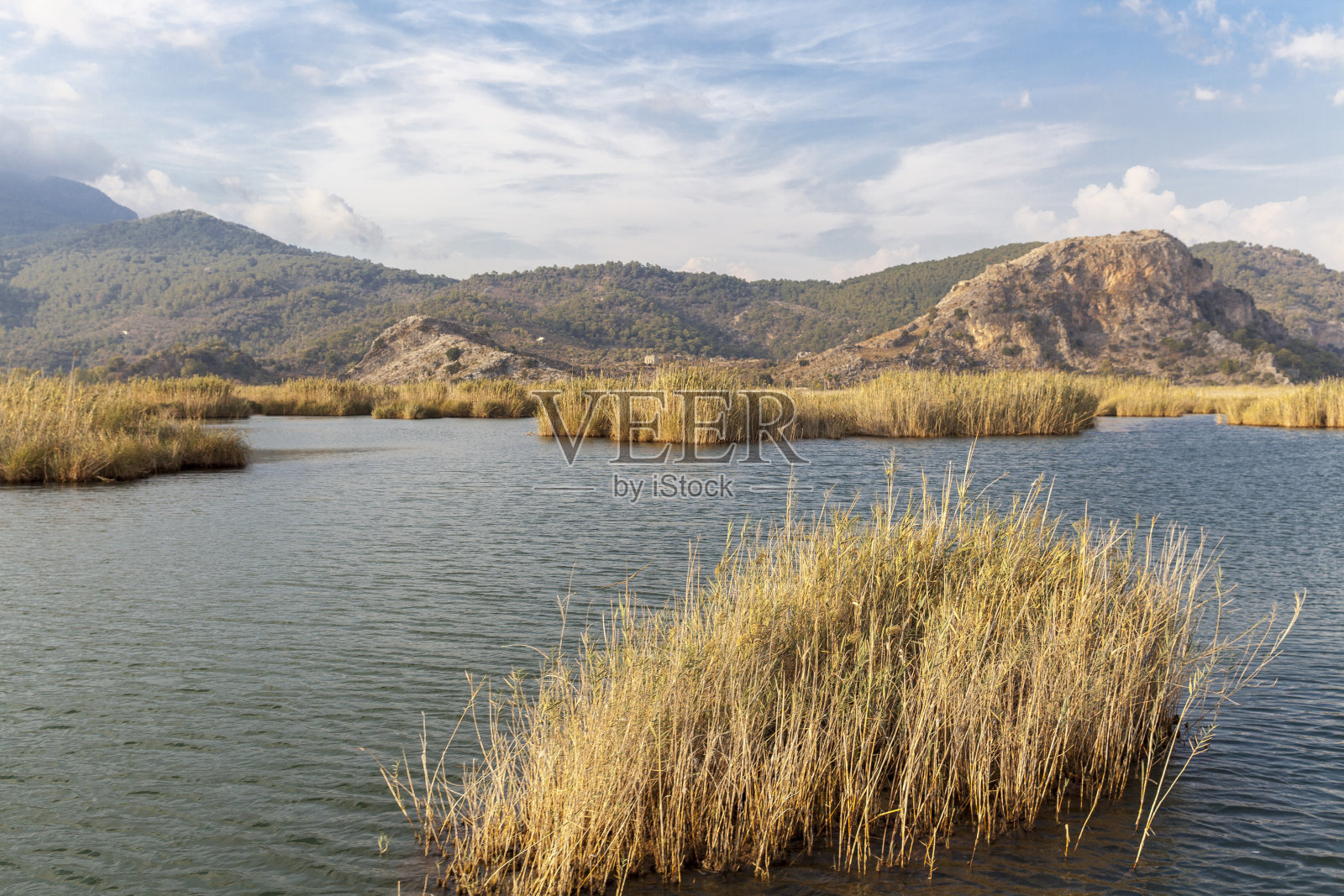 Dalyan河照片摄影图片
