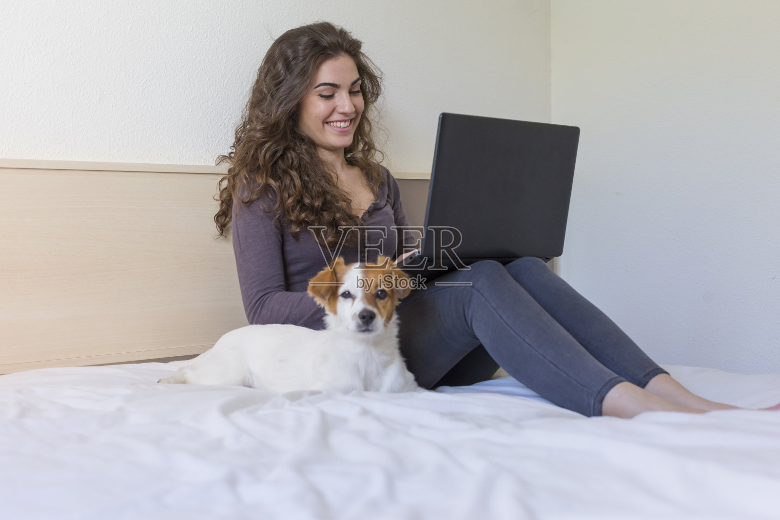 漂亮的年轻女子坐在床上，旁边还有她可爱的小狗。她在笔记本电脑上工作，面带微笑。家，室内和生活方式照片摄影图片