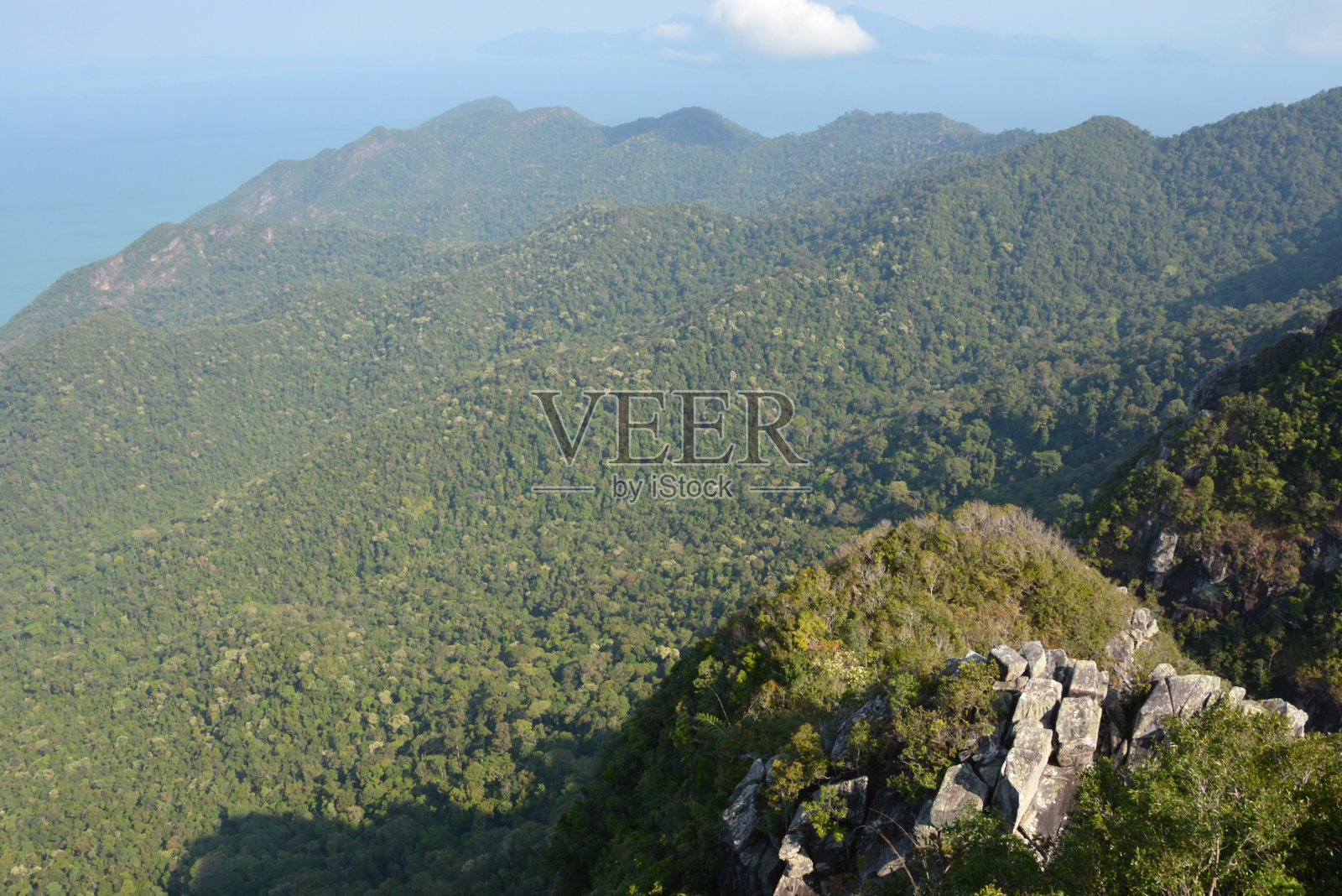 雨林的全景。照片摄影图片