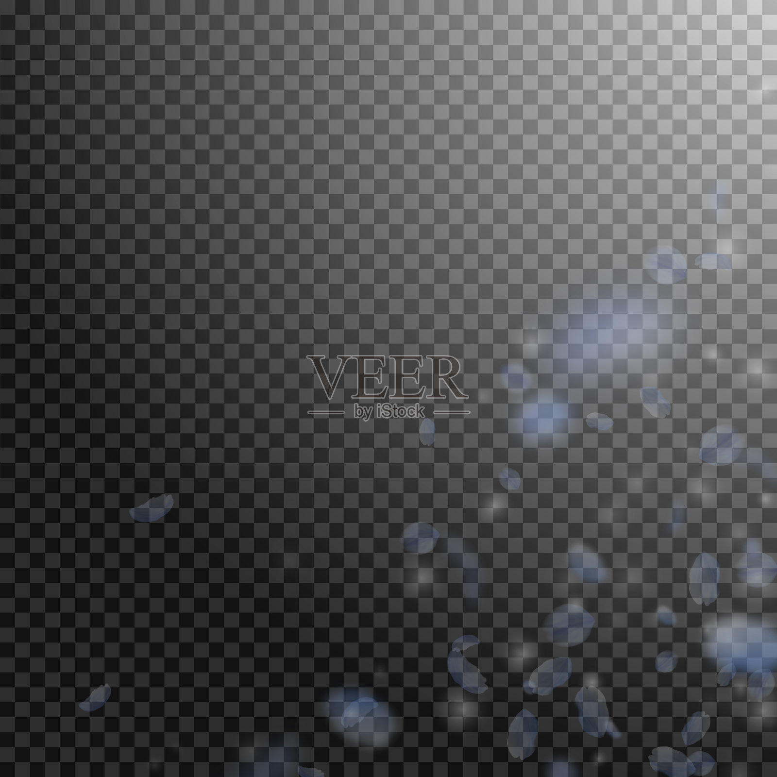 淡蓝色的花瓣飘落。迷人的插画图片素材