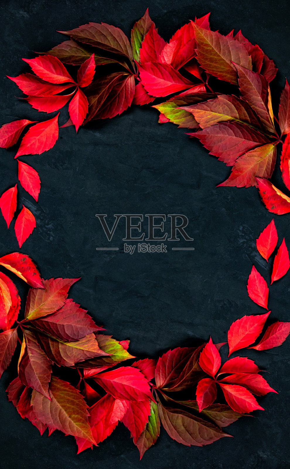 秋天的背景。红色的叶子在黑色纹理的背景。落叶。前视图。文本的地方照片摄影图片