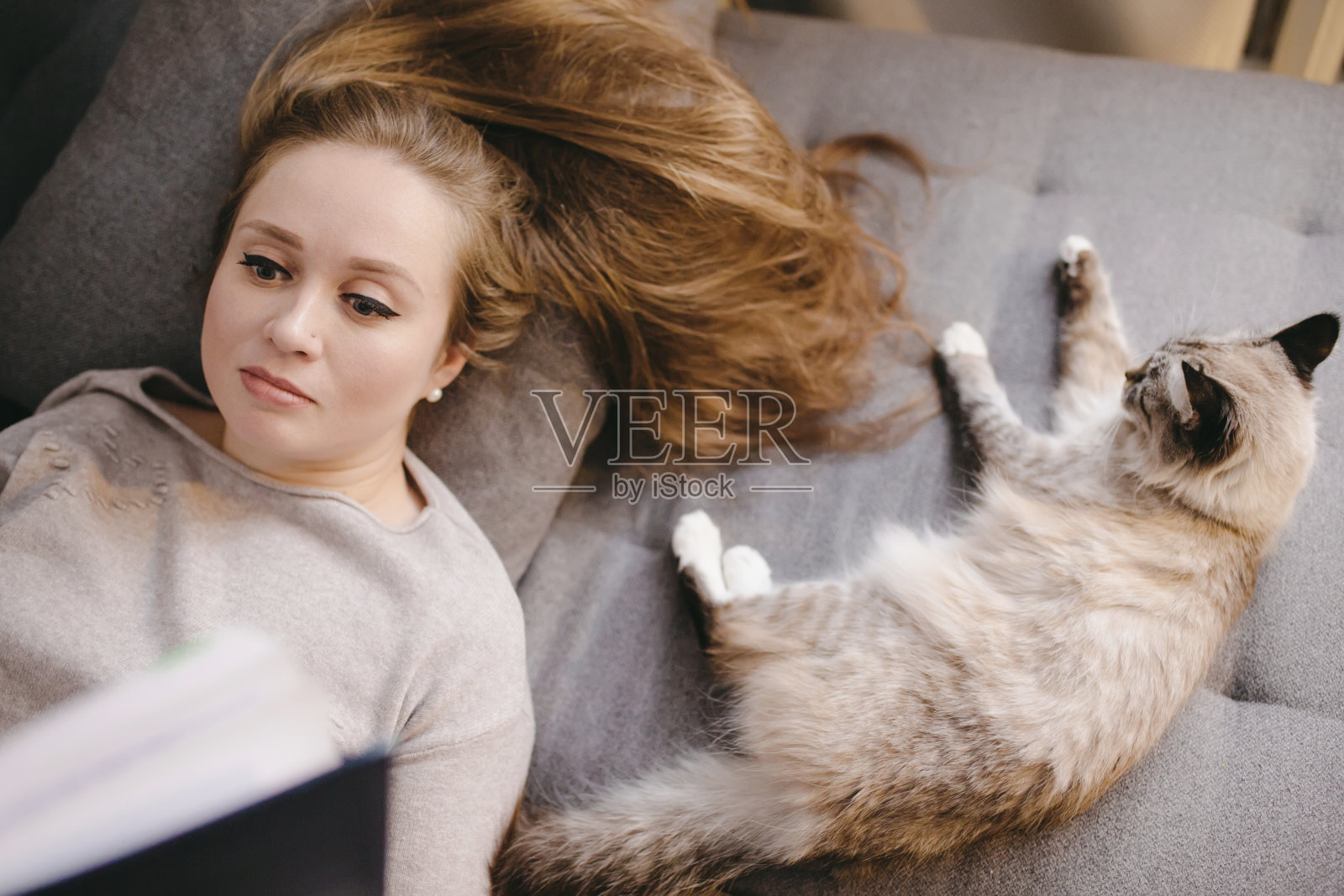 年轻女子和猫咪在沙发上读书照片摄影图片