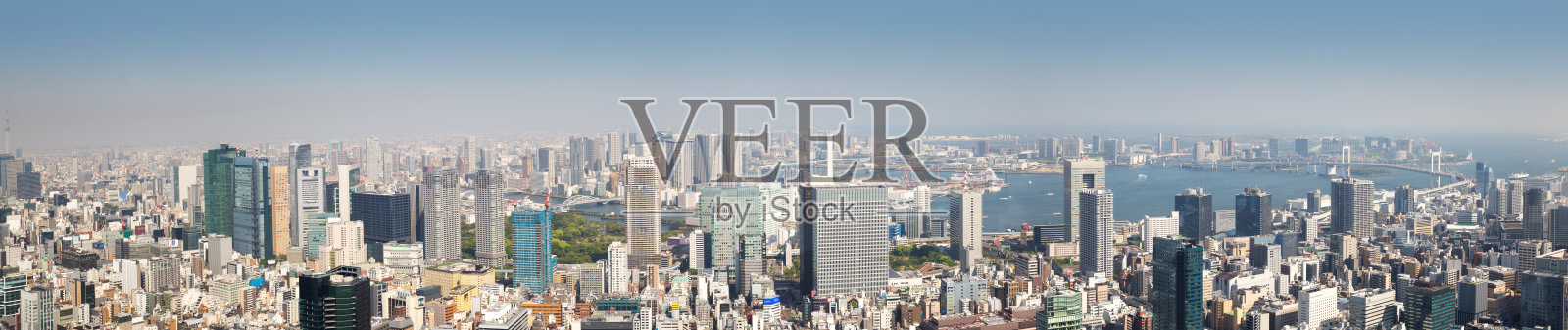 从空中俯瞰日本东京全景照片摄影图片