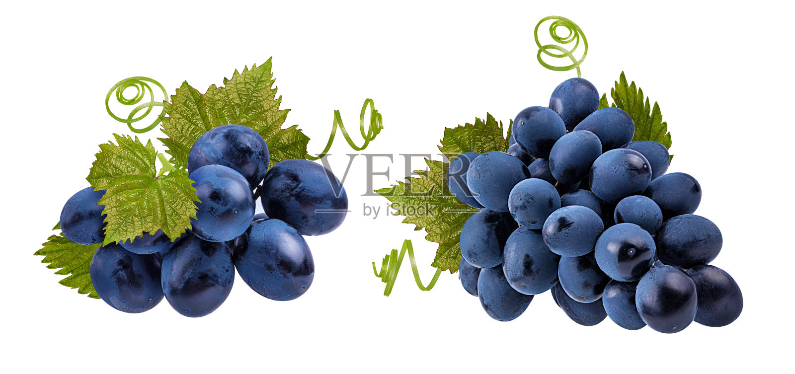 新鲜葡萄孤立在白色照片摄影图片