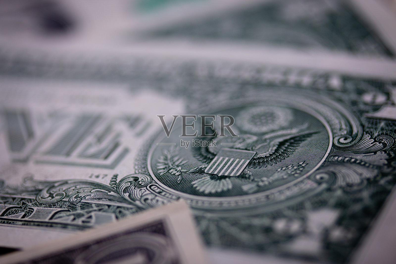 现金纸币特写美元照片摄影图片