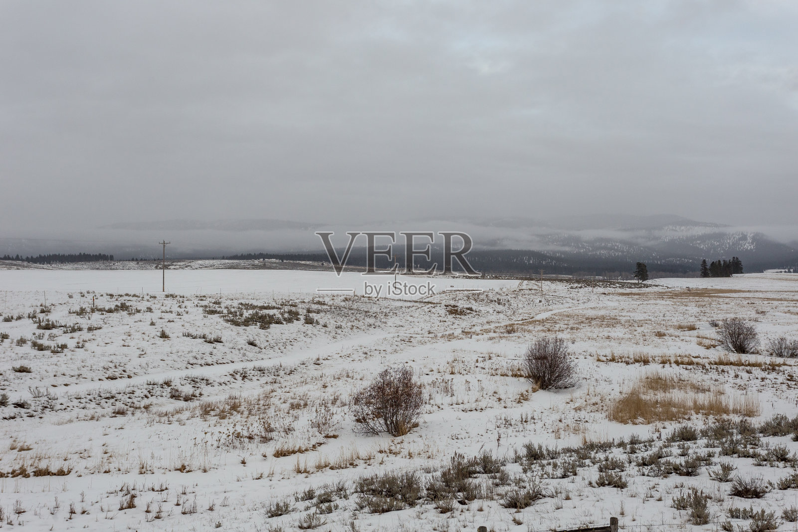阴天里，白雪覆盖的田野上，荒草丛生，山上雾气弥漫照片摄影图片
