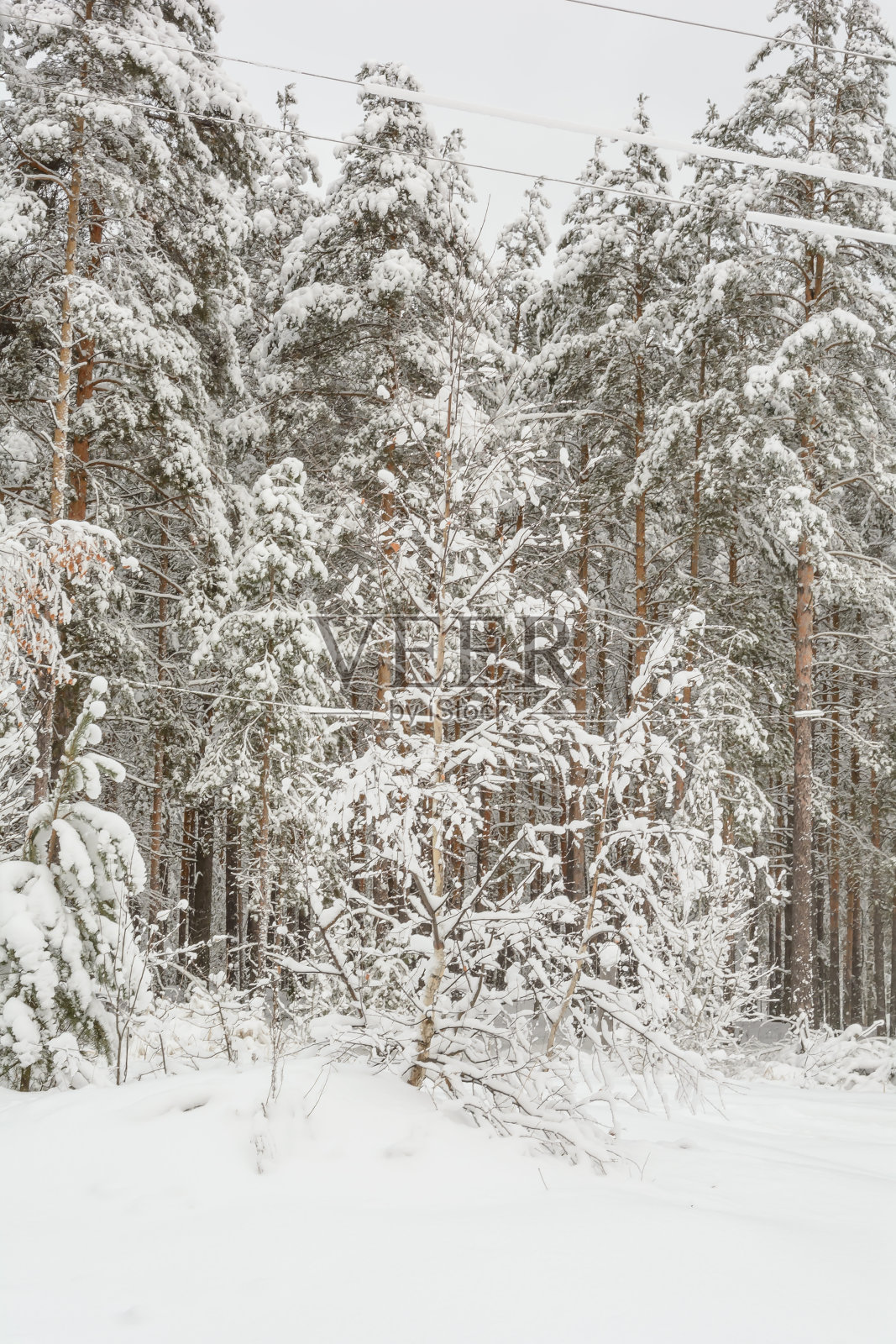 大自然在冬季的美丽照片摄影图片
