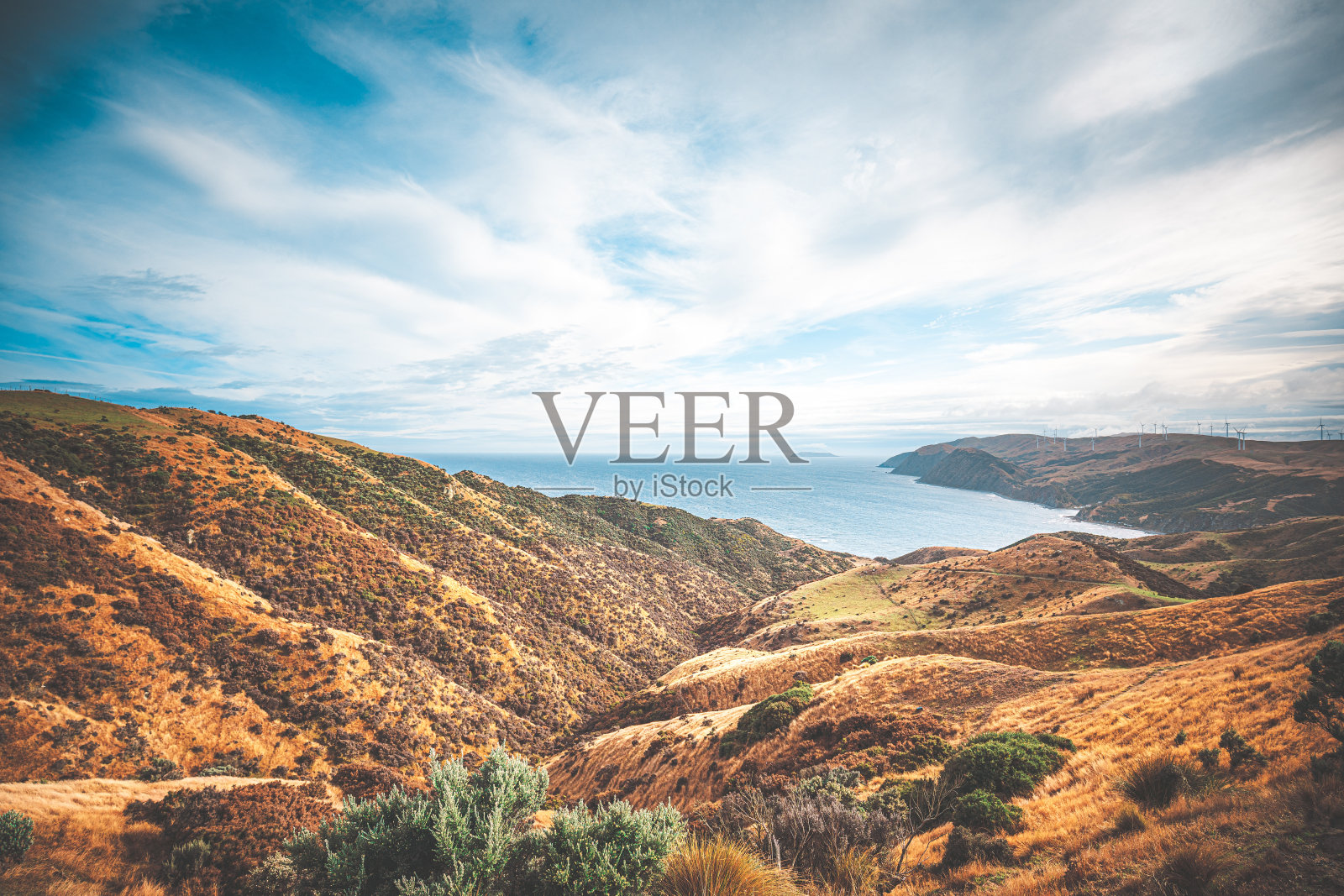 惠灵顿乡村的自然景观-马卡拉照片摄影图片