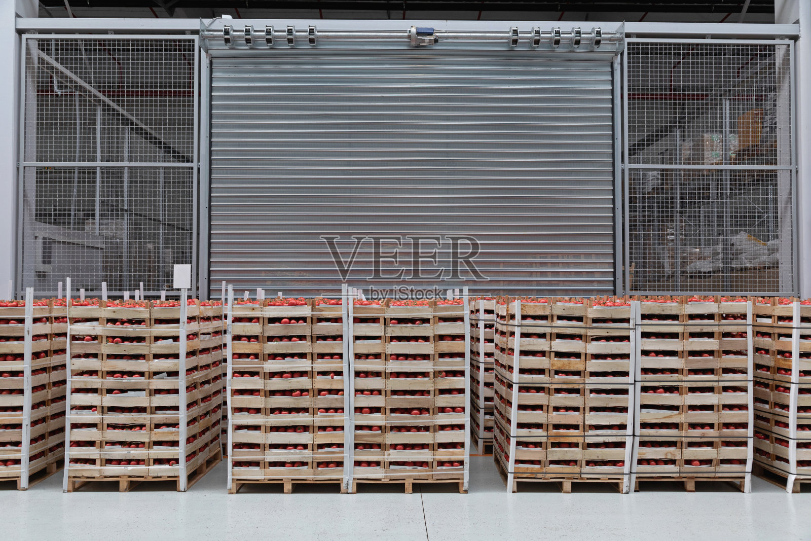 番茄箱存储照片摄影图片