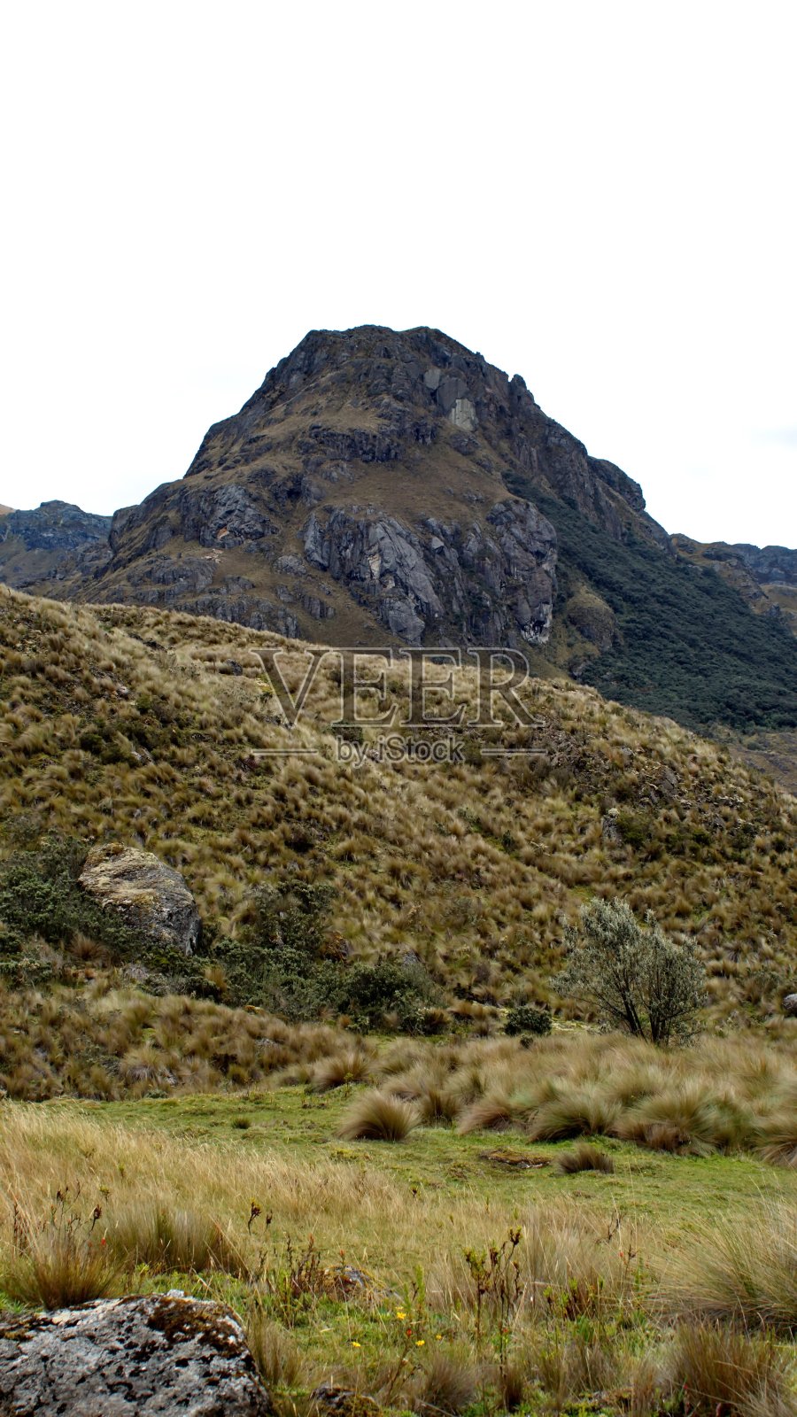 山谷中的山脉照片摄影图片