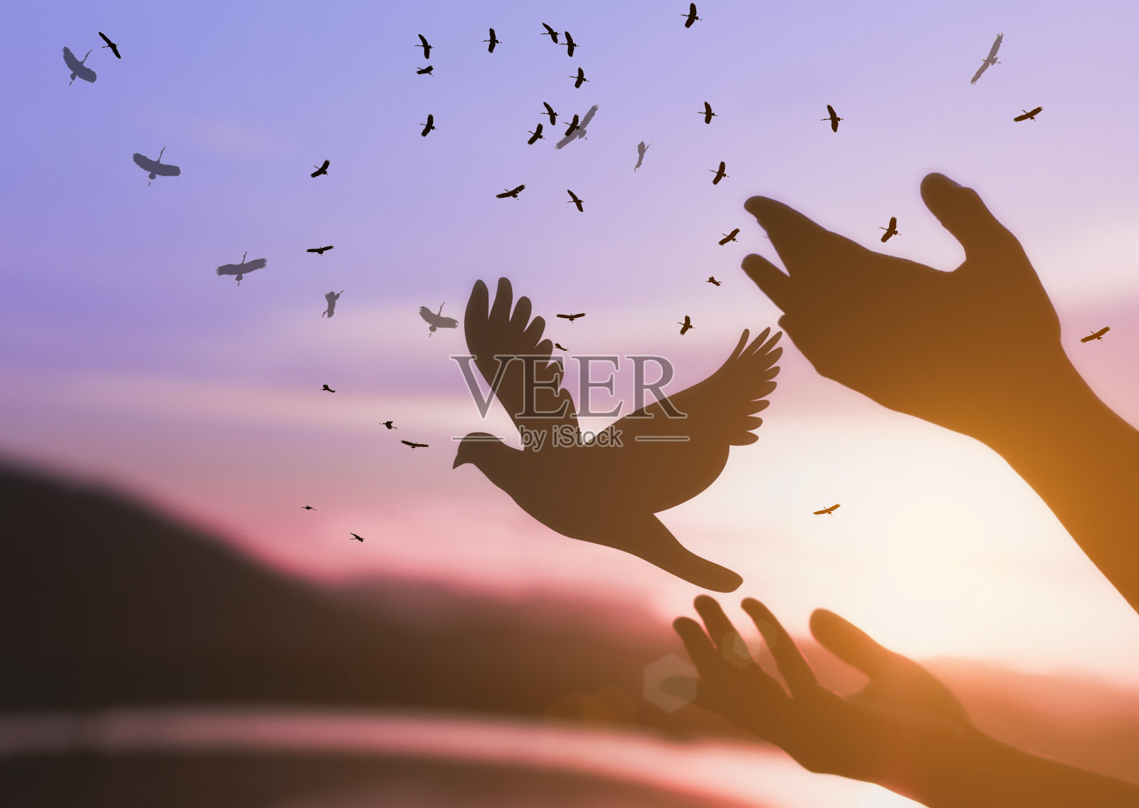 希望概念照片摄影图片