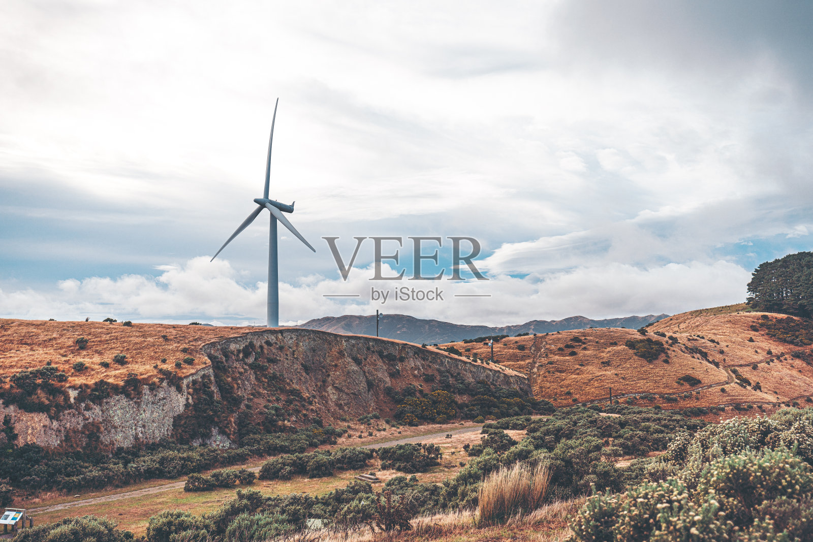 惠灵顿乡村的自然景观-马卡拉照片摄影图片