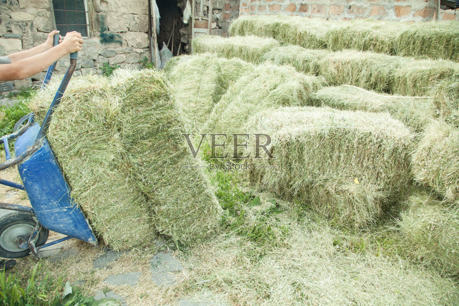 白人工人与干草堆照片摄影图片