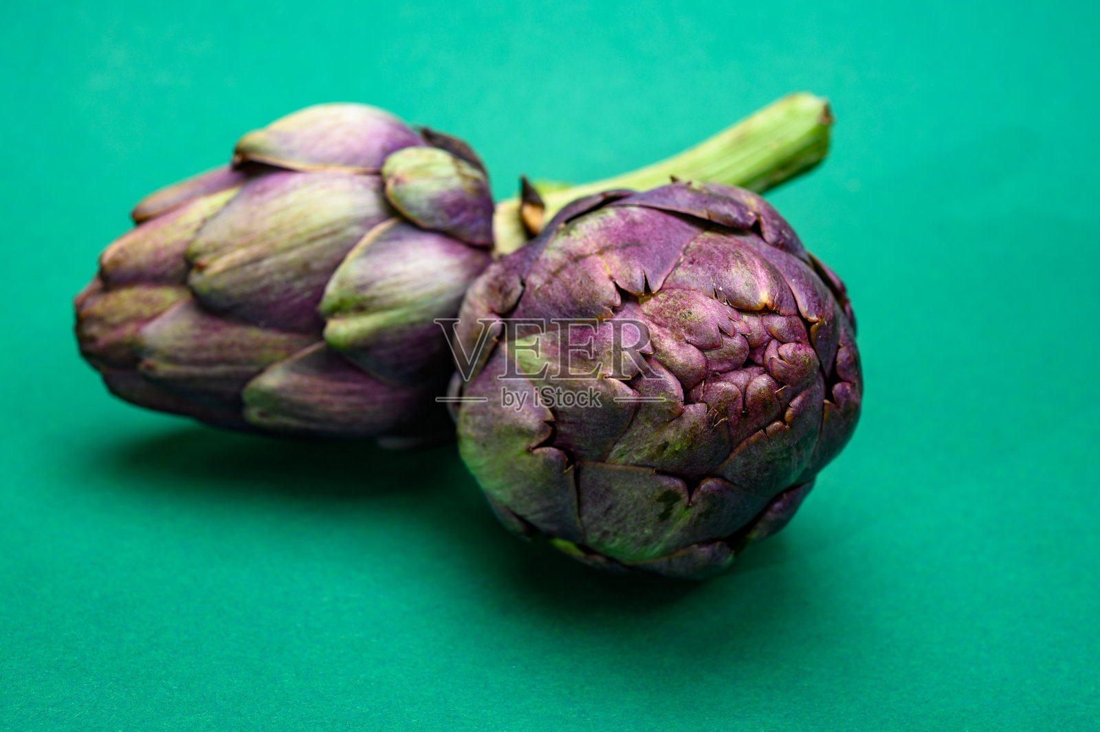 新鲜的紫朝鲜蓟准备烹调照片摄影图片