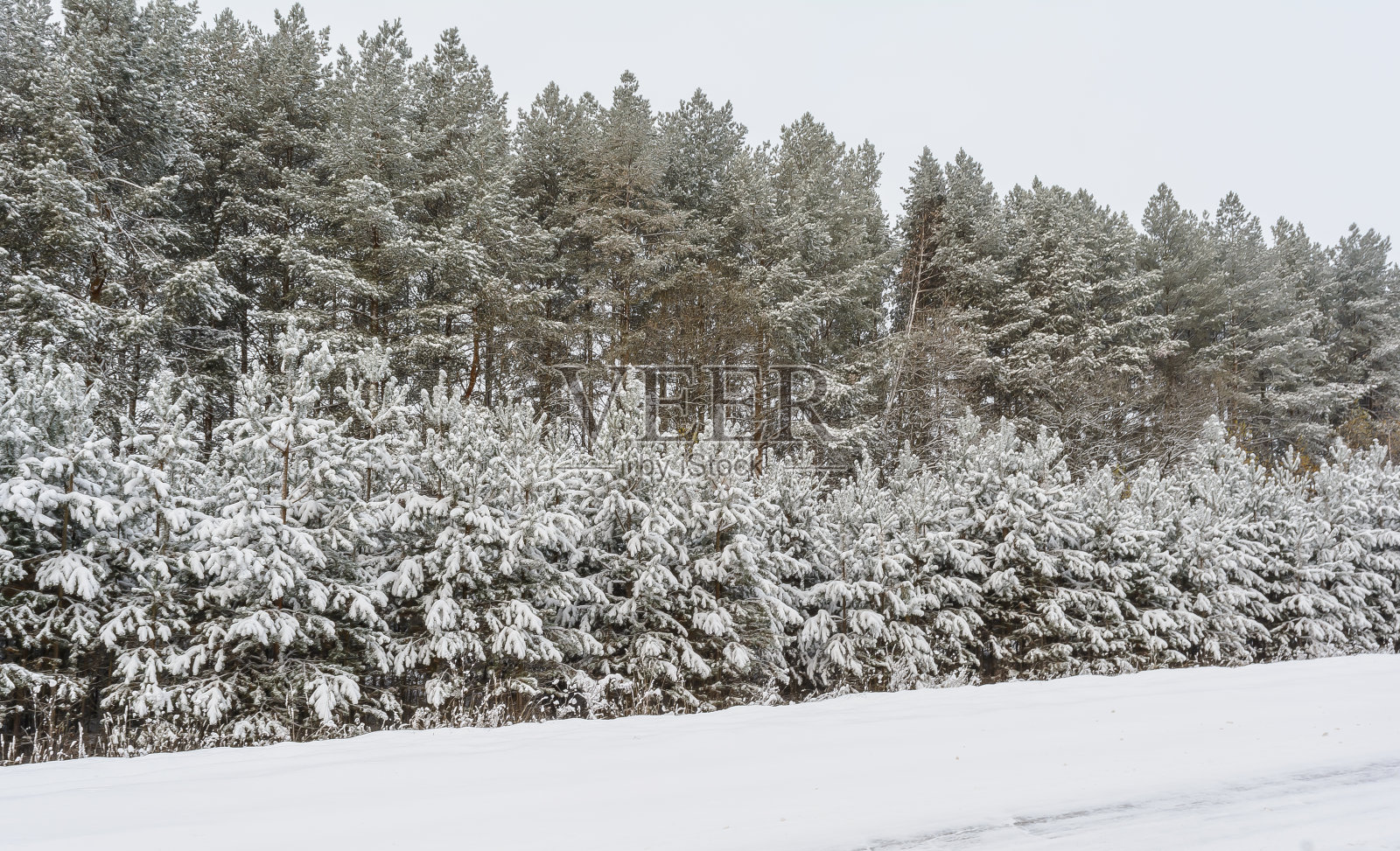 大自然在冬季的美丽照片摄影图片