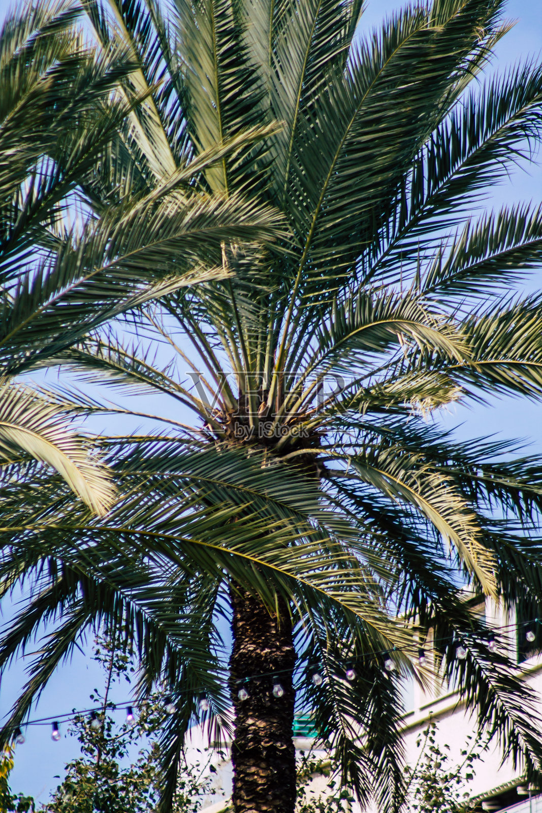 以色列的颜色照片摄影图片