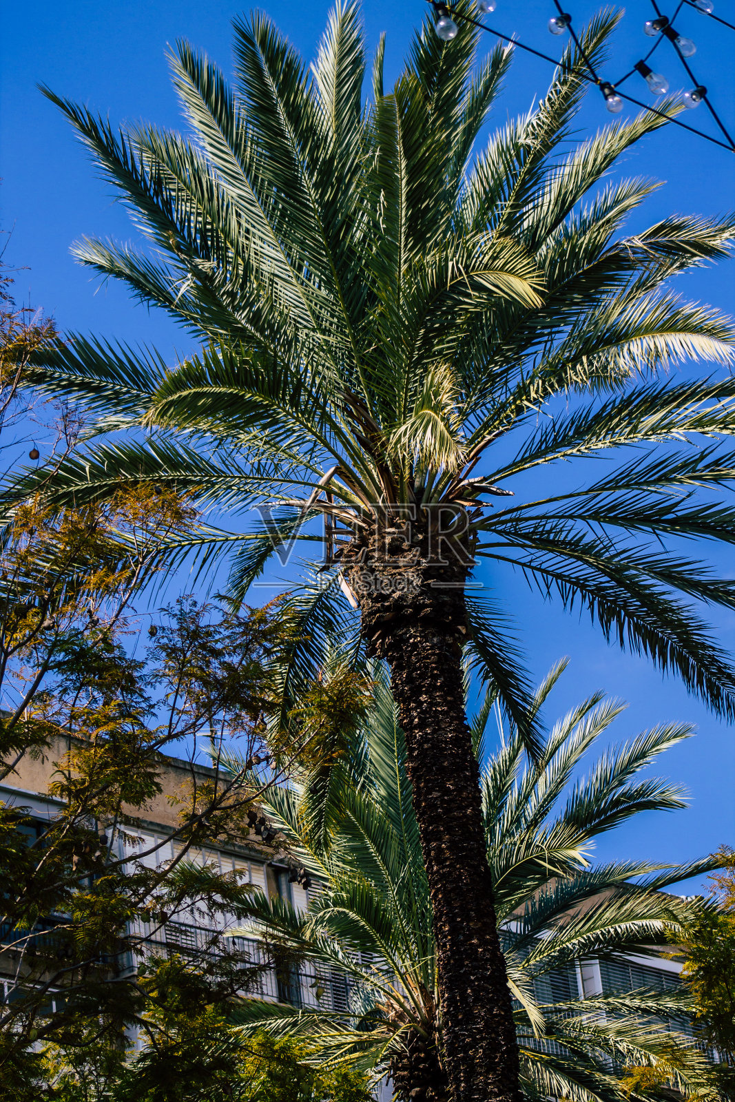 以色列的颜色照片摄影图片