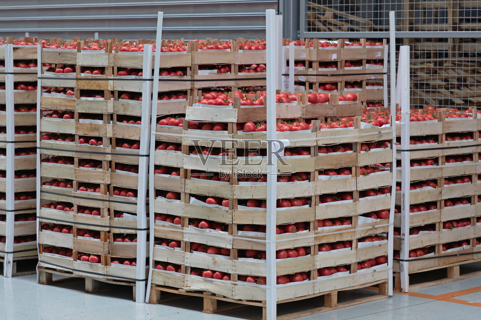 西红柿托盘照片摄影图片