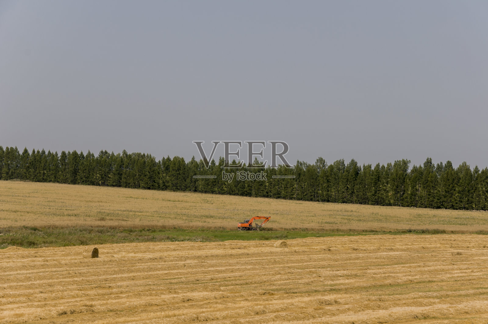种秣草地。周围有很多书库。初秋的草地。干燥的植物。黄金的颜色。遥远的绿色森林。黑暗的天空，上面有白云。挖掘机工作照片摄影图片