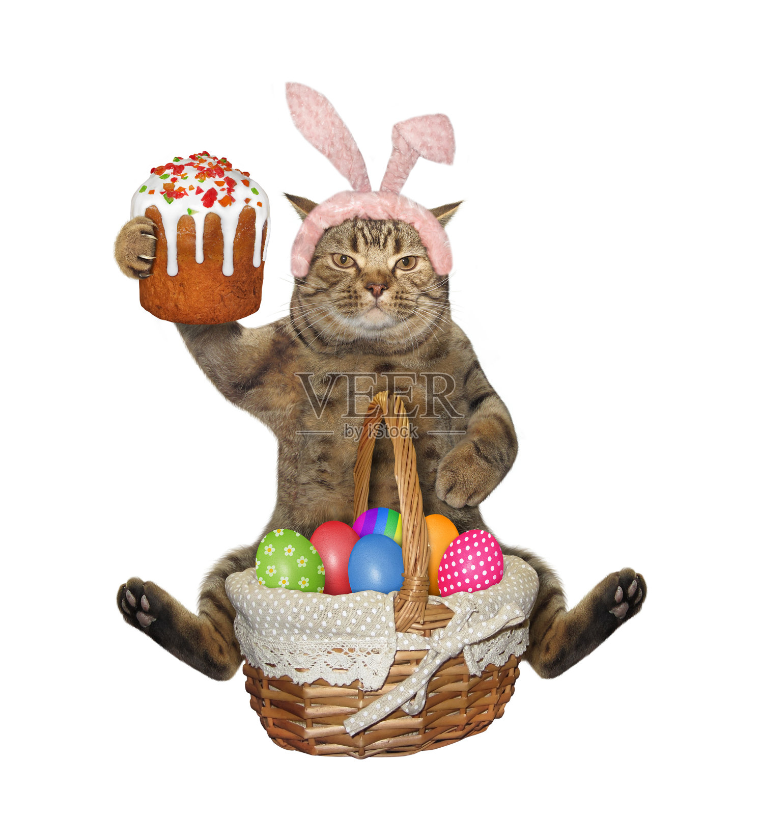 猫坐着吃复活节蛋糕和鸡蛋照片摄影图片