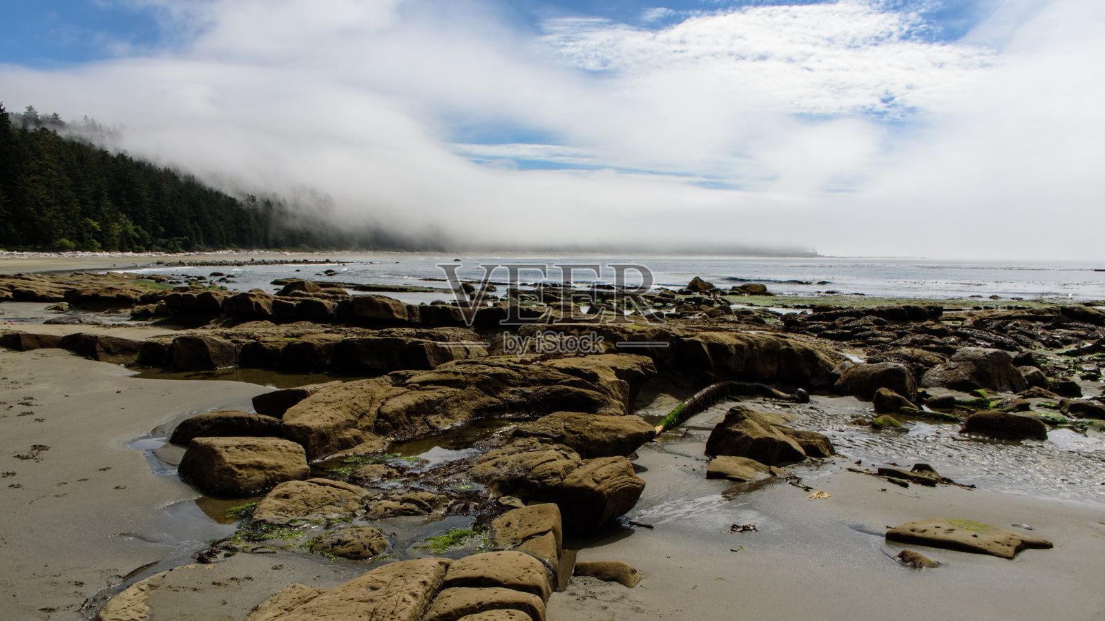 环太平洋岩石海岸国家公园1号照片摄影图片