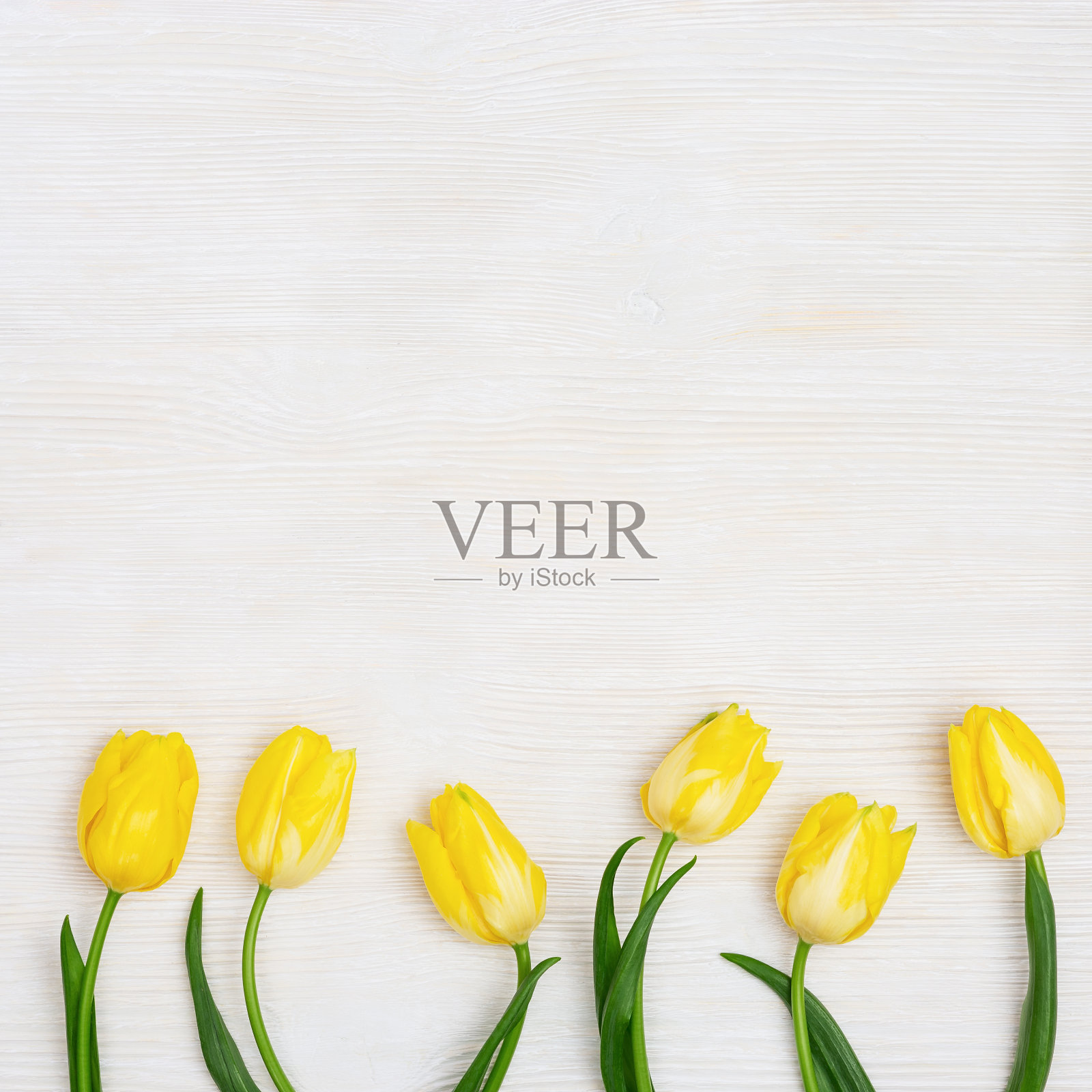 白色木桌上的郁金香春花，具有复制空间的自然花卉背景，明亮的色彩和简约的风格，顶部视图照片摄影图片